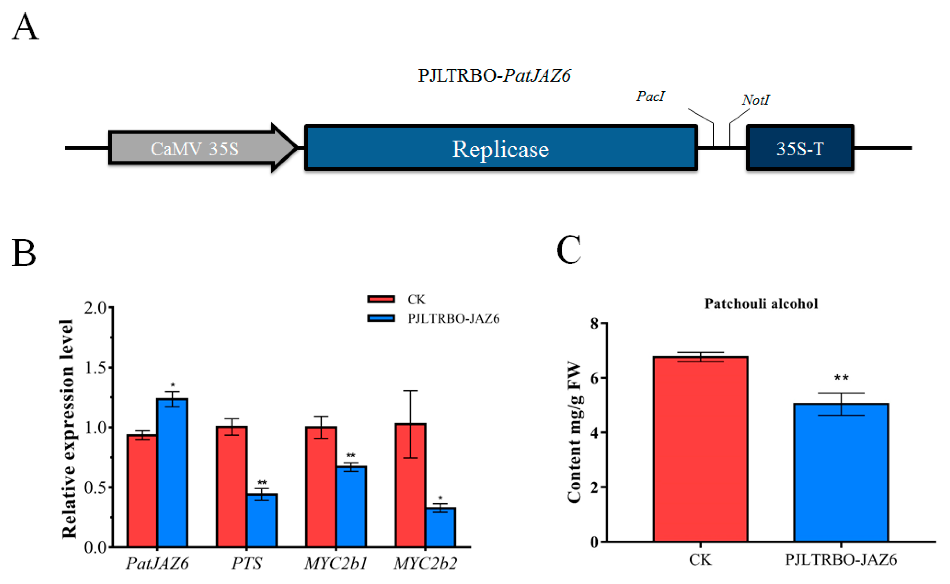 Ijms 20 06038 g005 Ijms 20 06038 g005