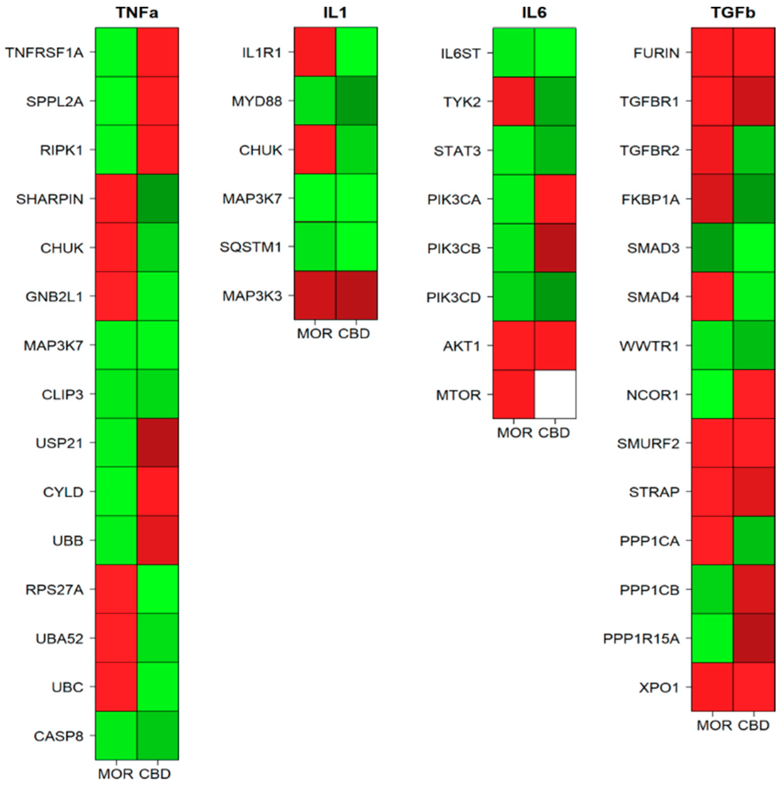 Ijms 20 06039 g003 Ijms 20 06039 g003