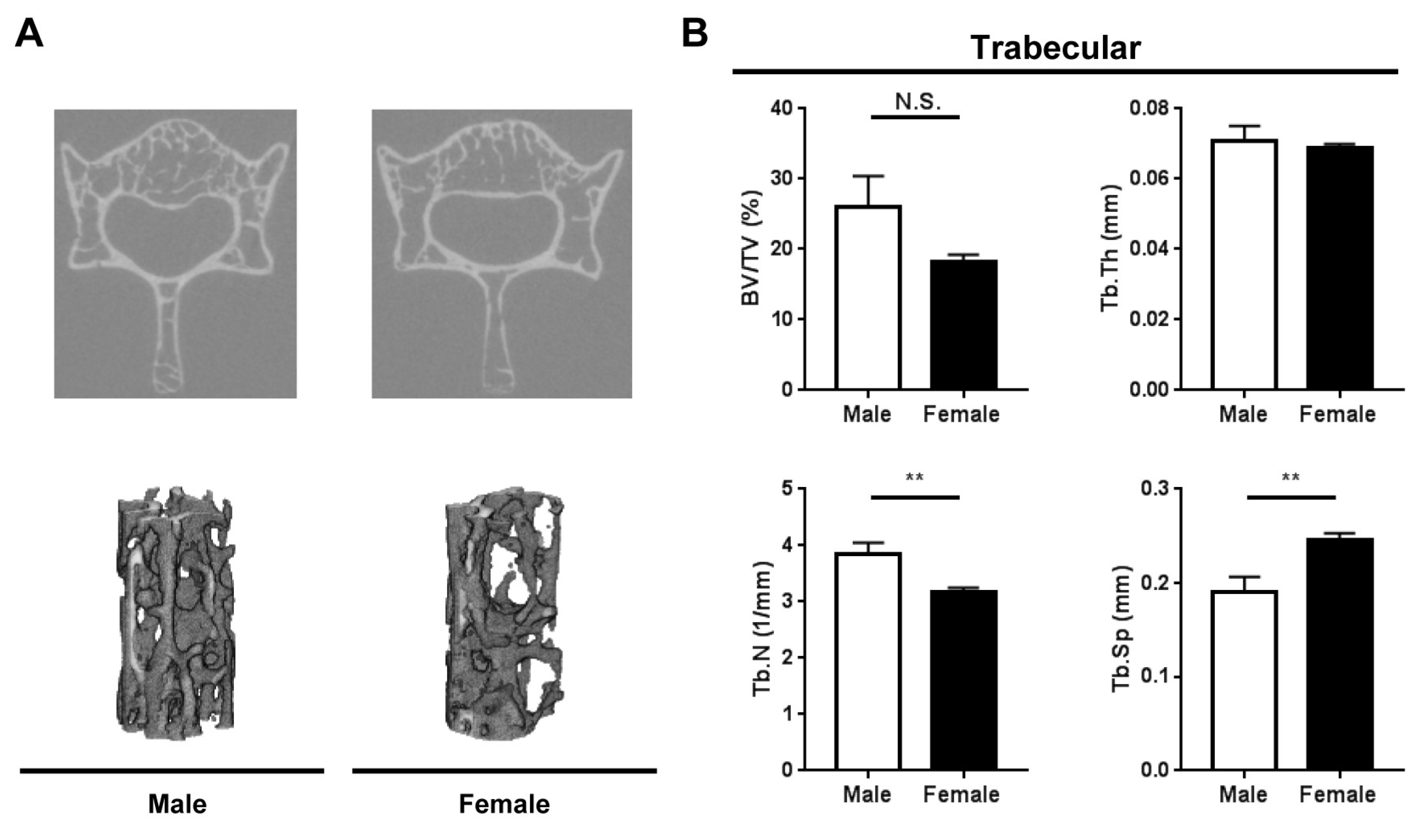 Ijms 20 06059 g003 Ijms 20 06059 g003