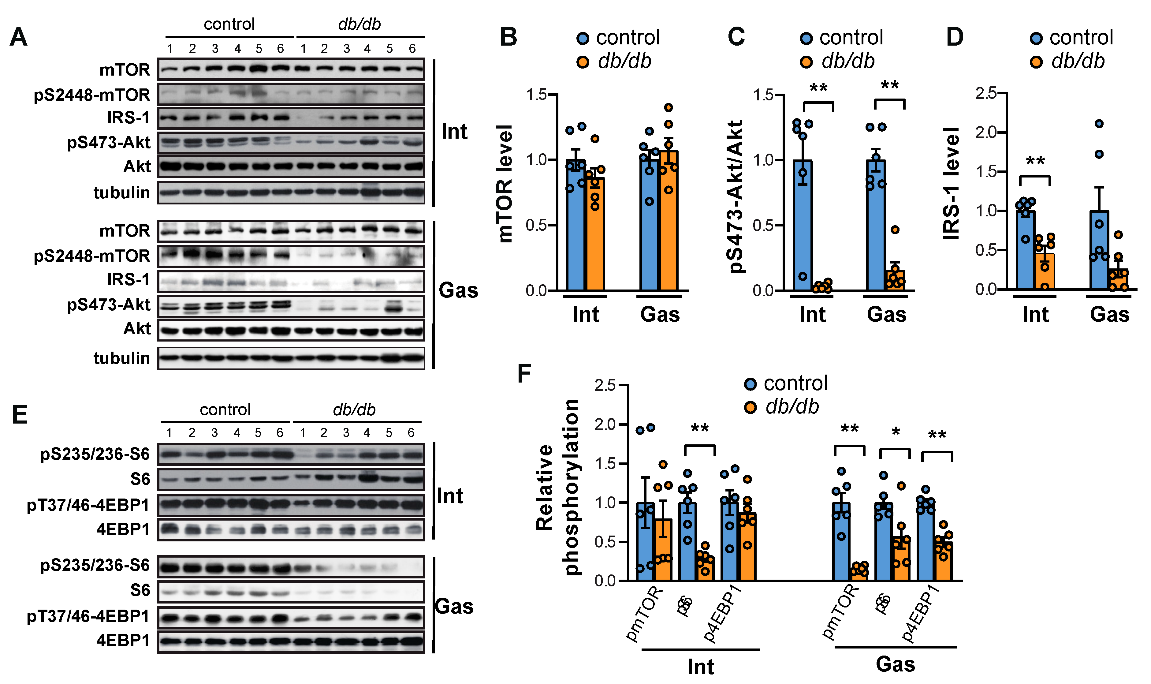Ijms 20 06062 g002 Ijms 20 06062 g002
