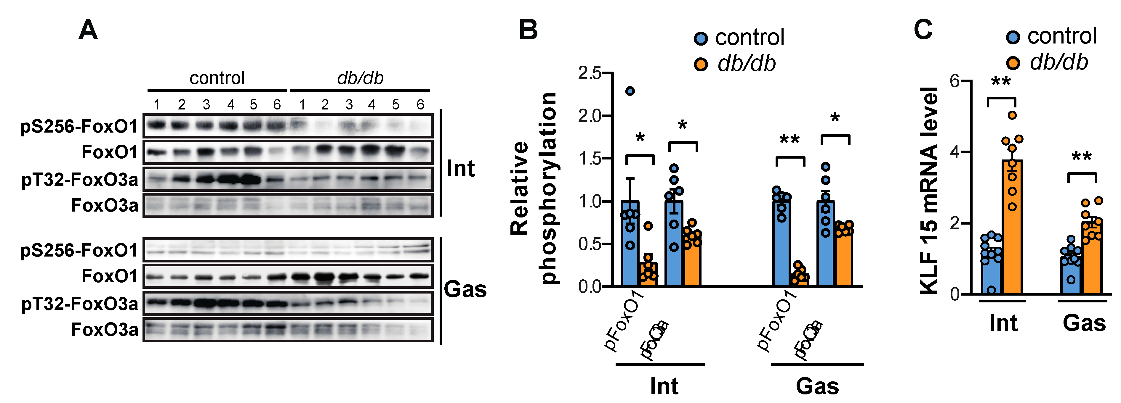 Ijms 20 06062 g003 Ijms 20 06062 g003