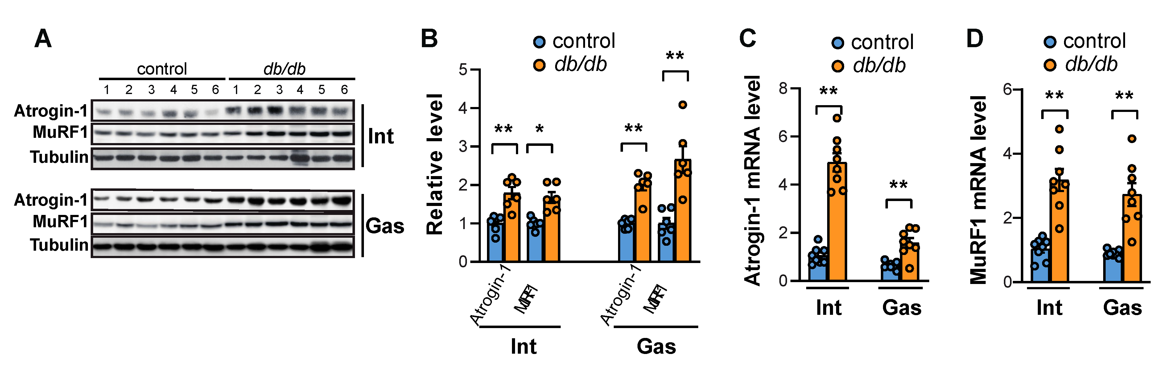 Ijms 20 06062 g004 Ijms 20 06062 g004