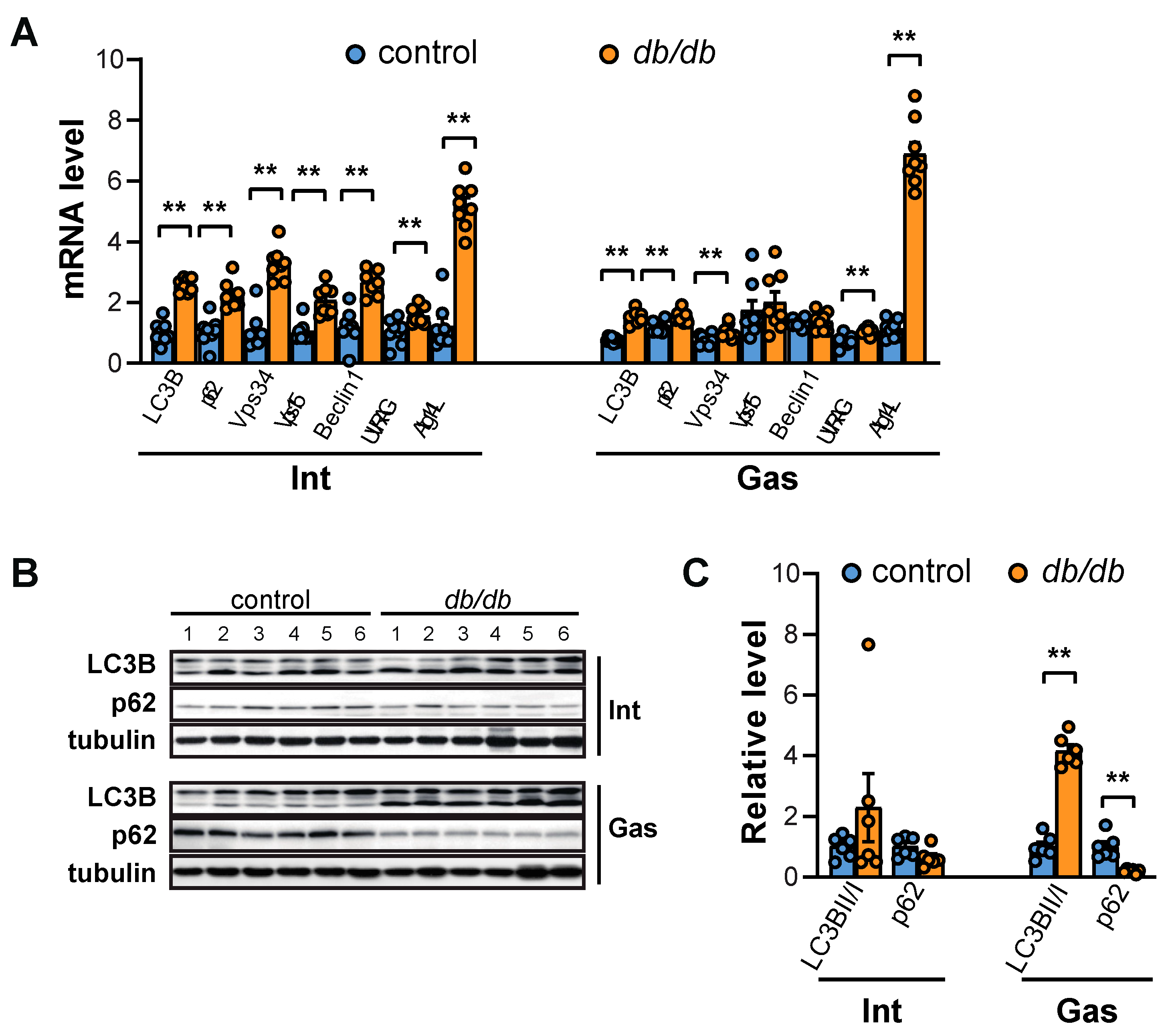 Ijms 20 06062 g005 Ijms 20 06062 g005
