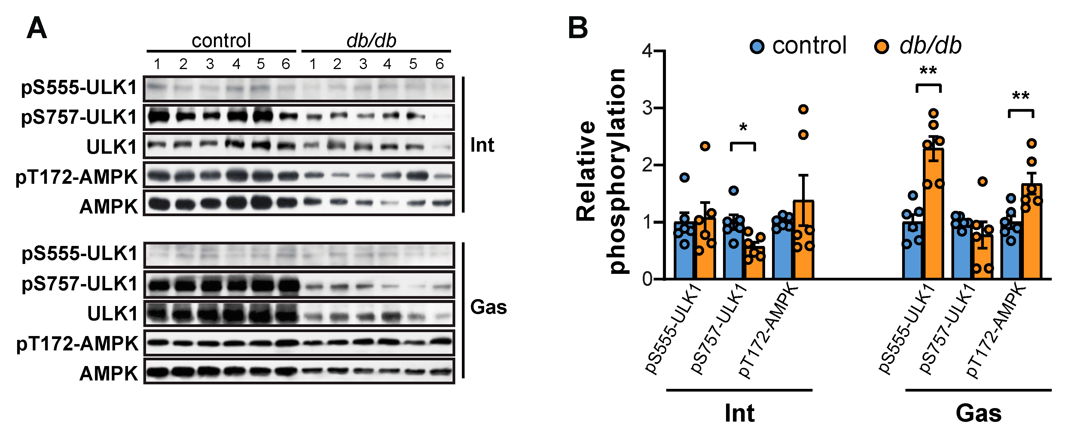 Ijms 20 06062 g006 Ijms 20 06062 g006