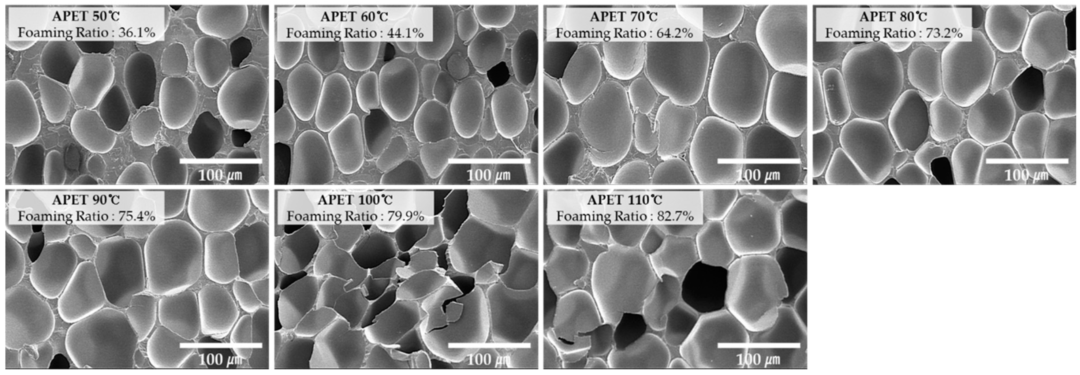 Ijms 20 06068 g002 550