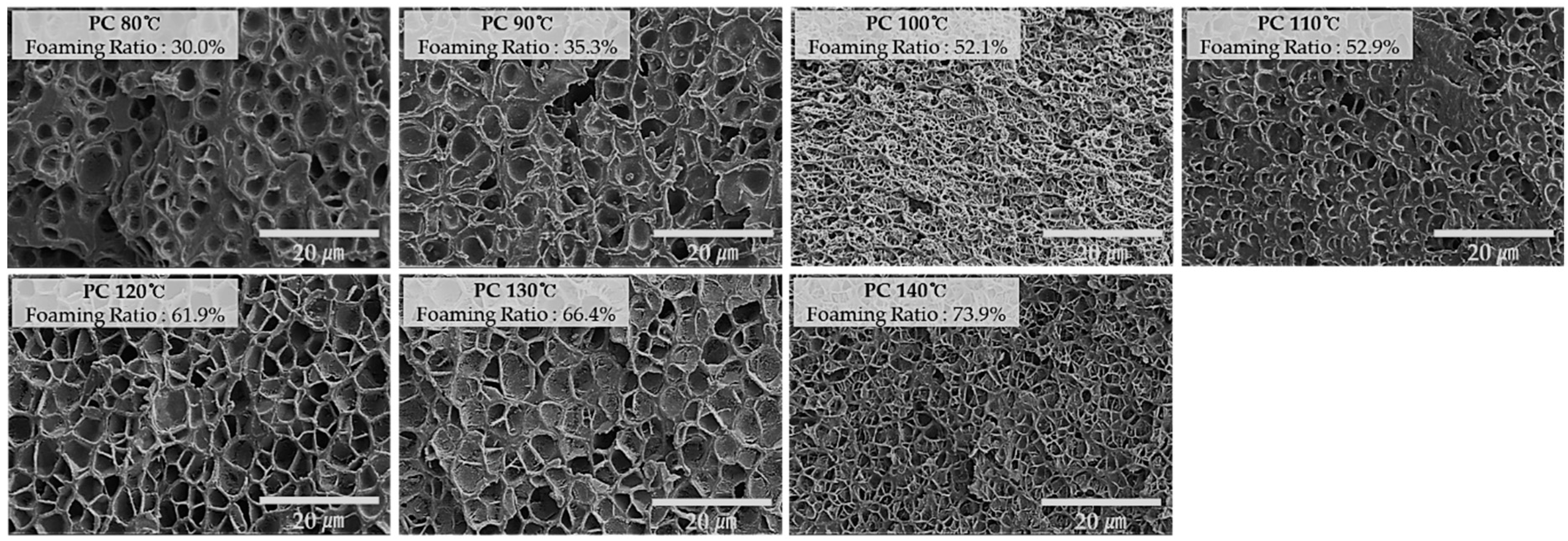 Ijms 20 06068 g003 550