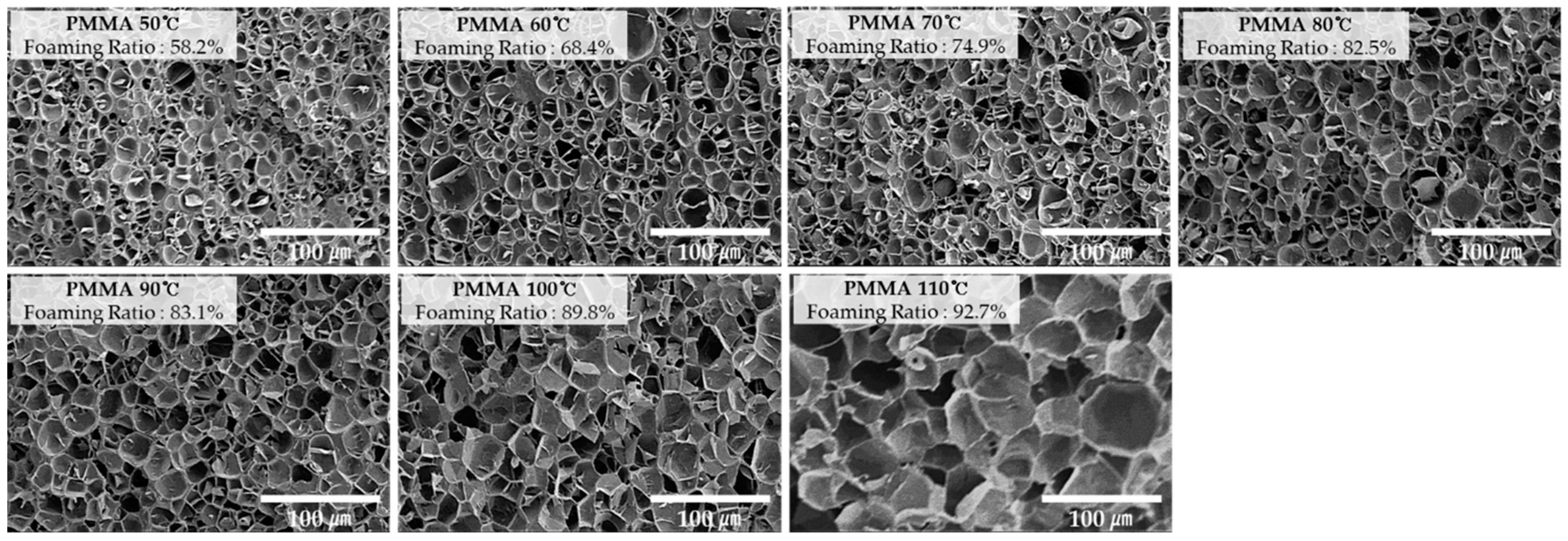 Ijms 20 06068 g004 550