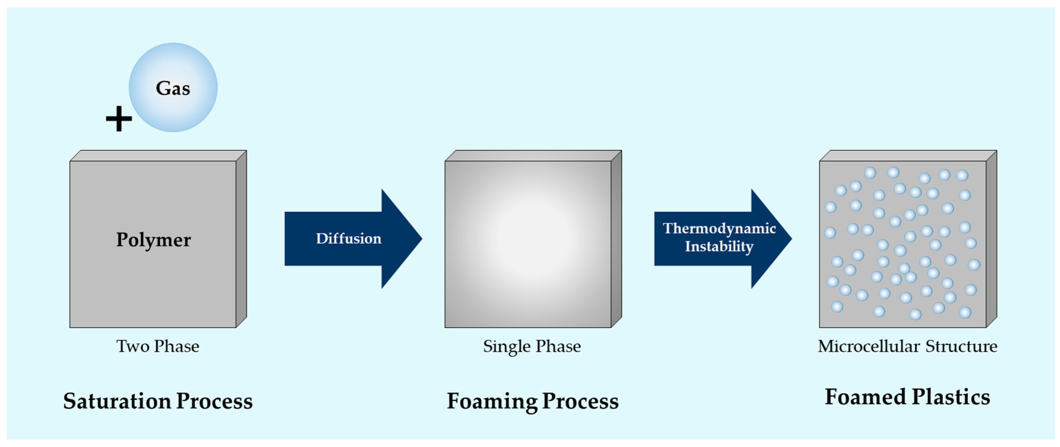 Ijms 20 06068 g011 550