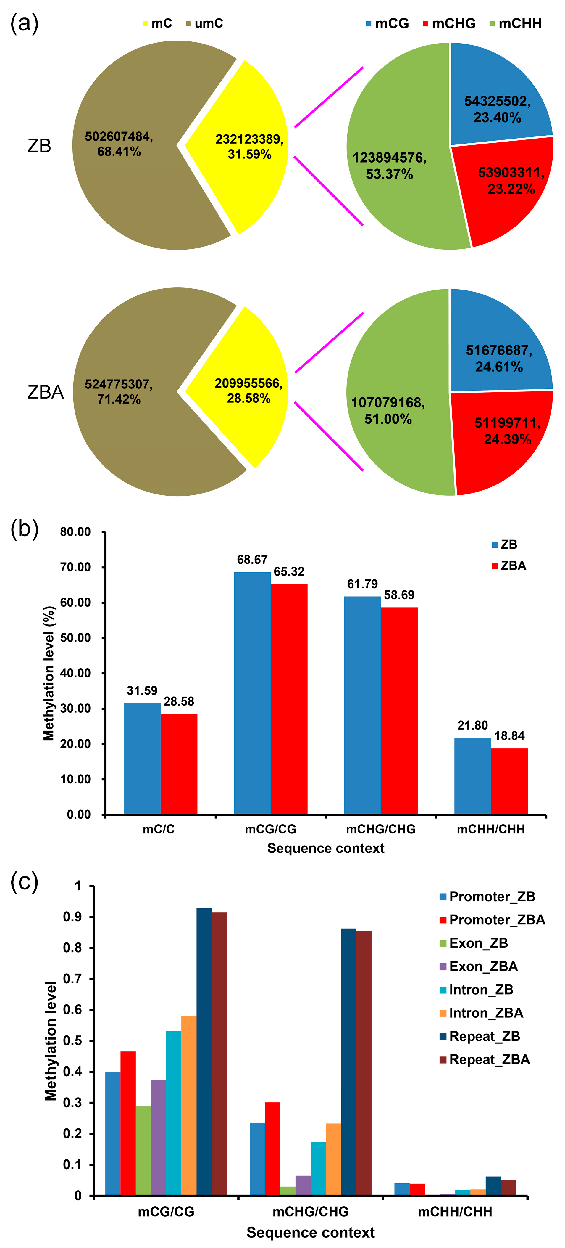 Ijms 20 06070 g002 Ijms 20 06070 g002