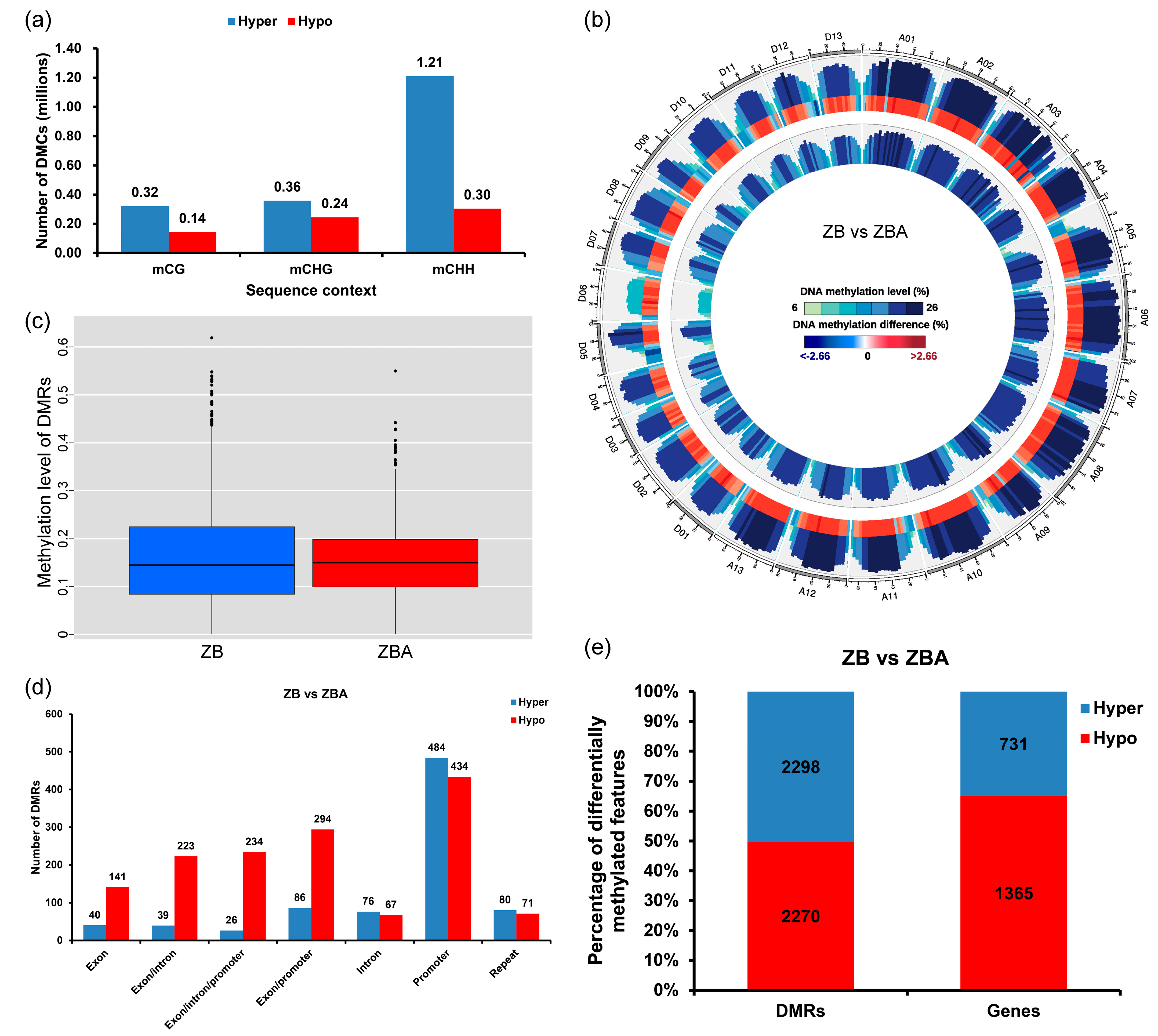 Ijms 20 06070 g003 Ijms 20 06070 g003