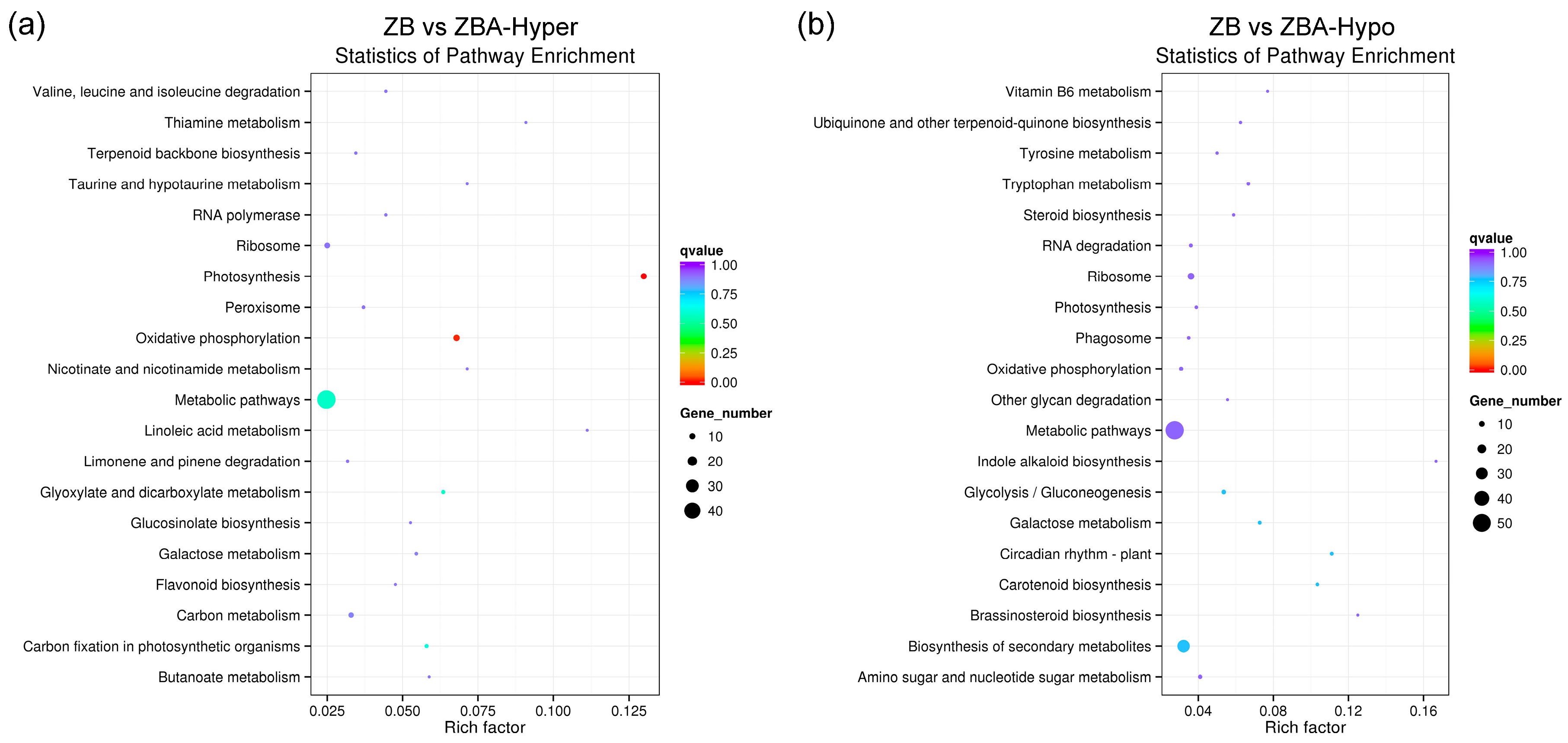Ijms 20 06070 g005 Ijms 20 06070 g005