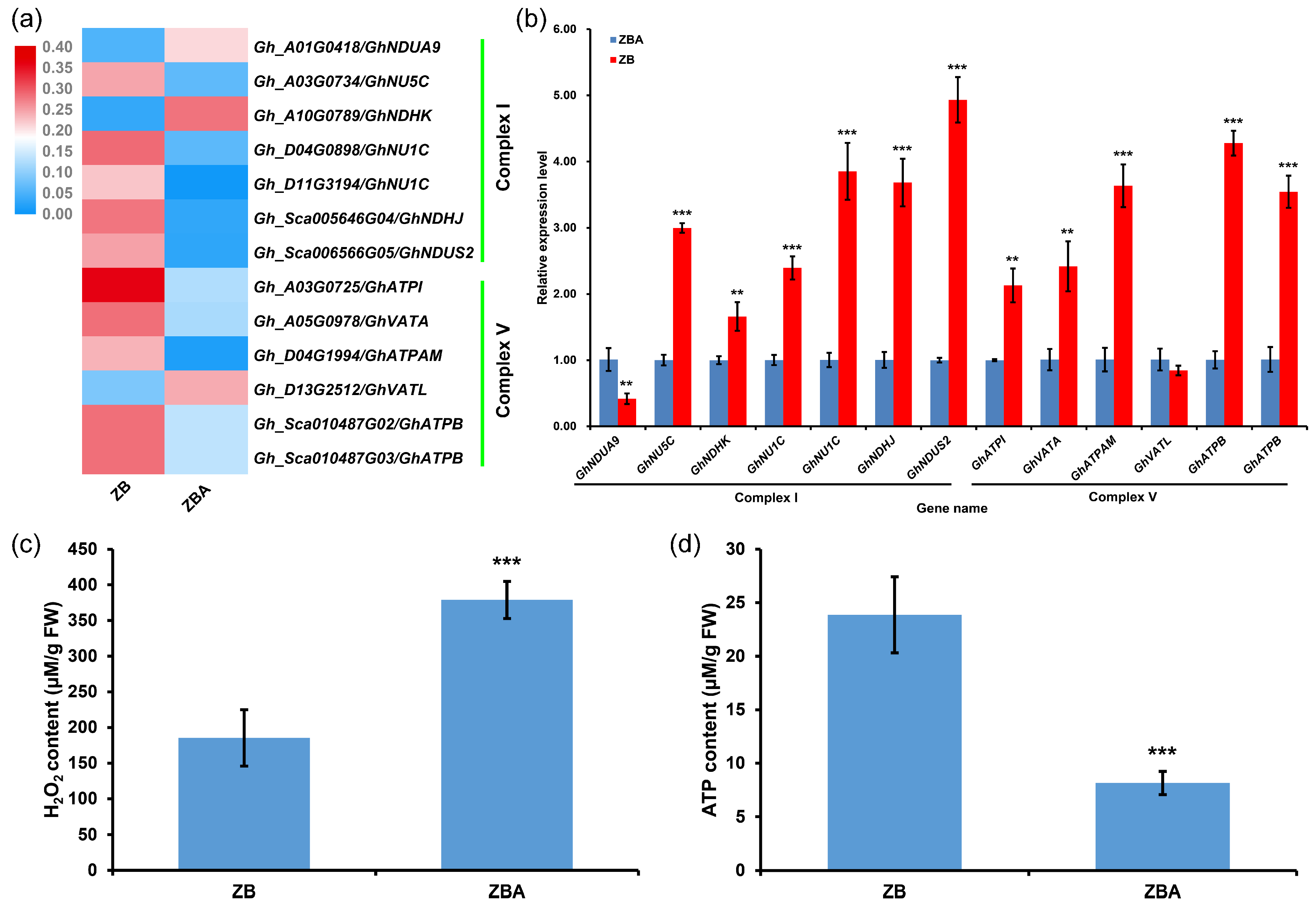 Ijms 20 06070 g006 Ijms 20 06070 g006