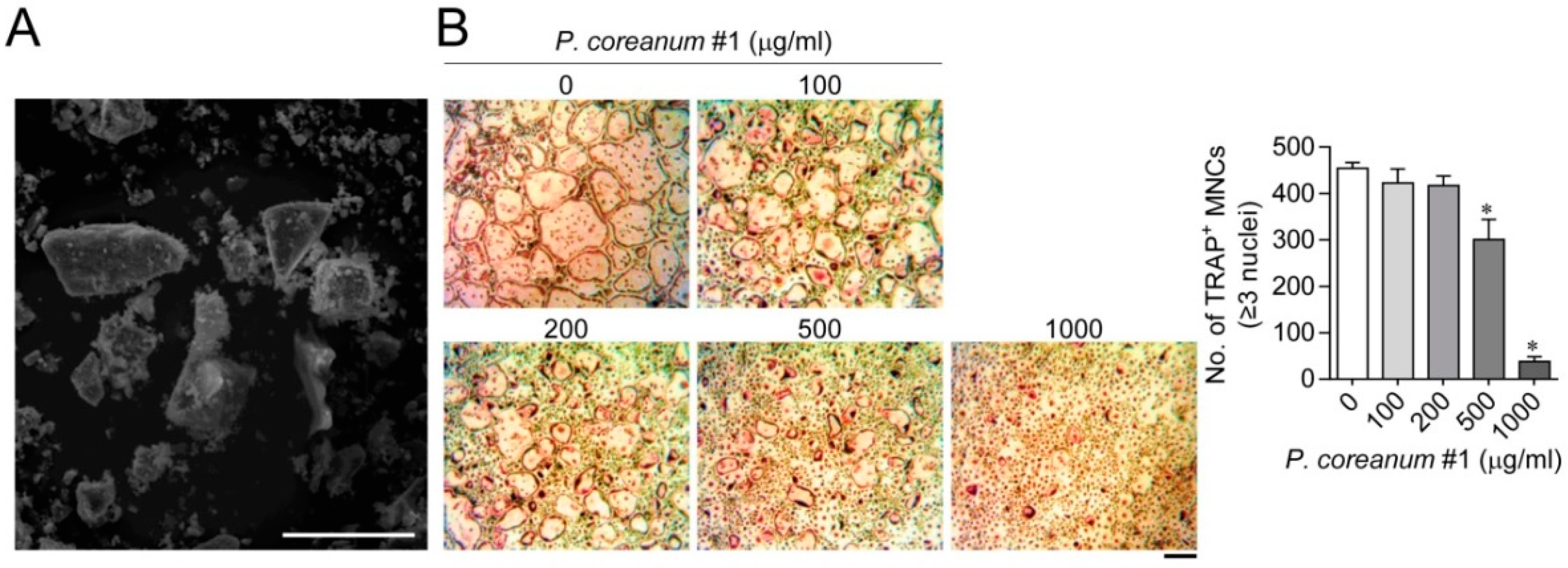 Ijms 20 06076 g001