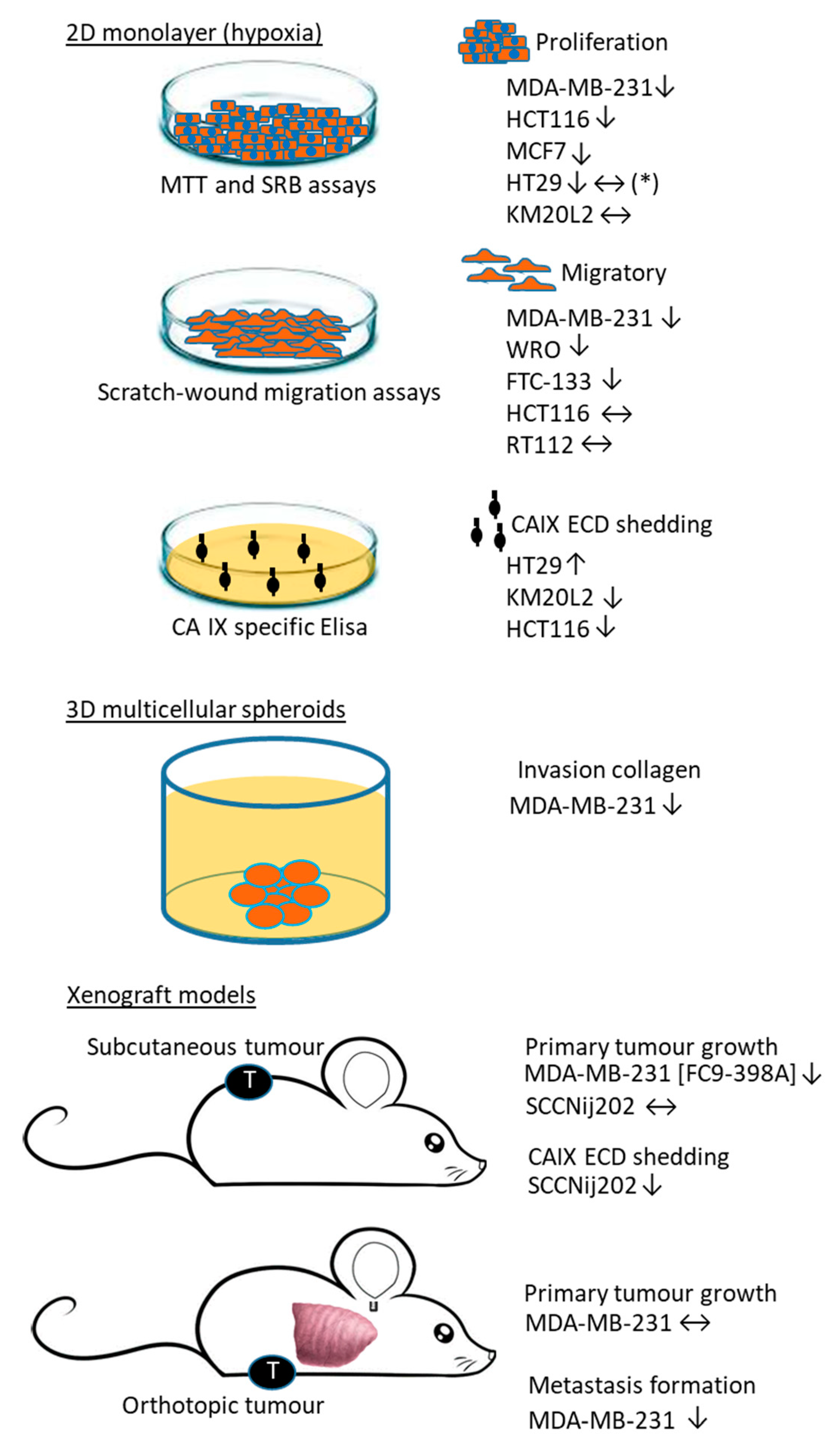 Ijms 20 06080 g002