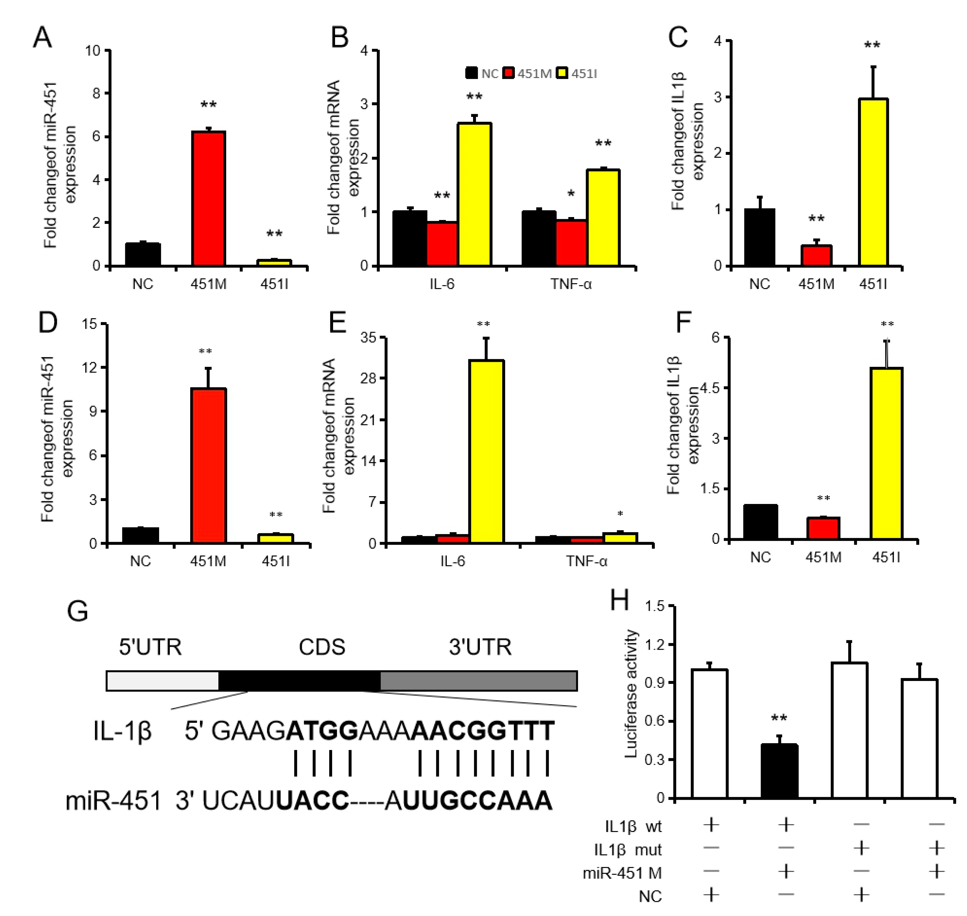 Ijms 20 06084 g002