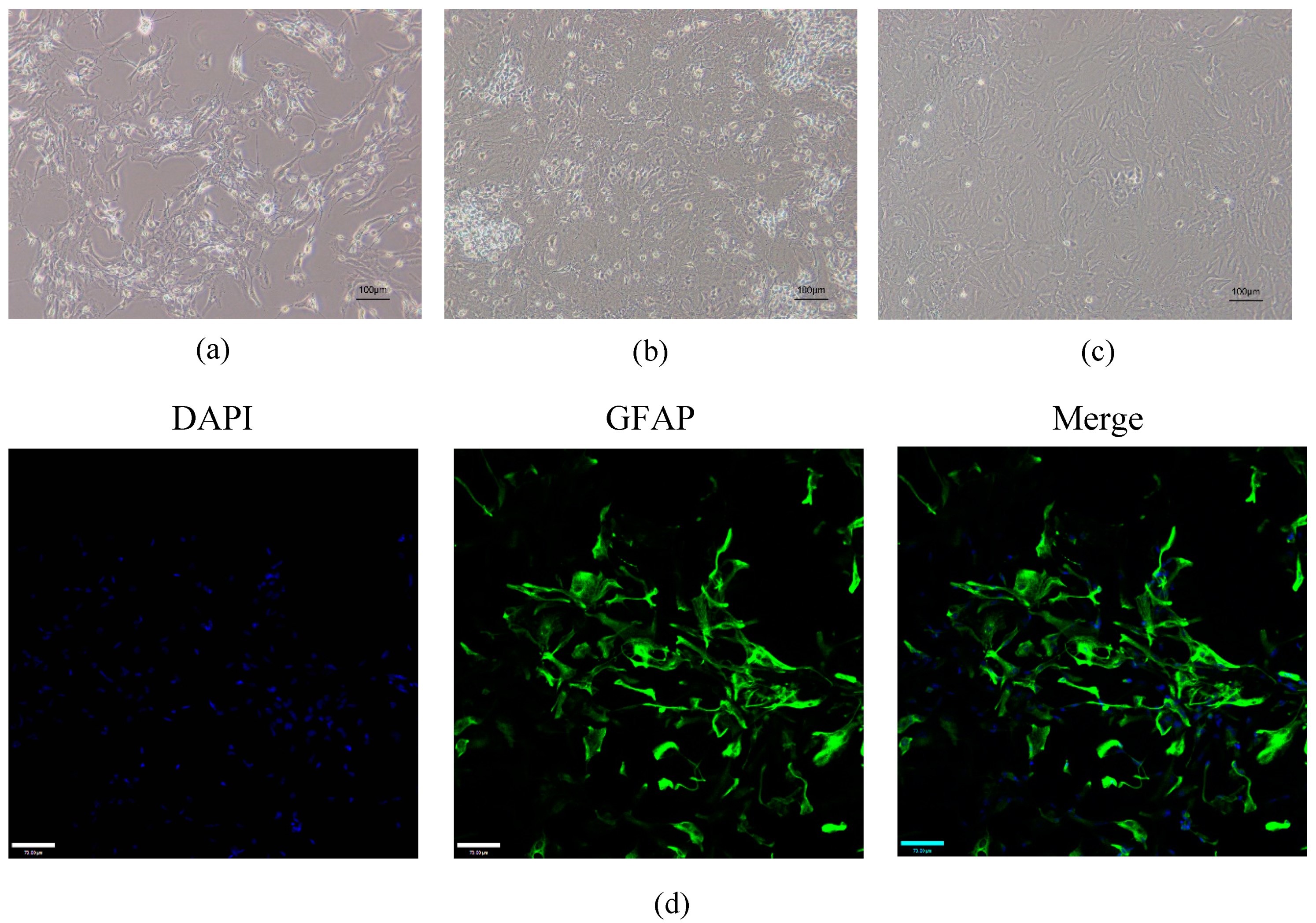 Ijms 20 06086 g002