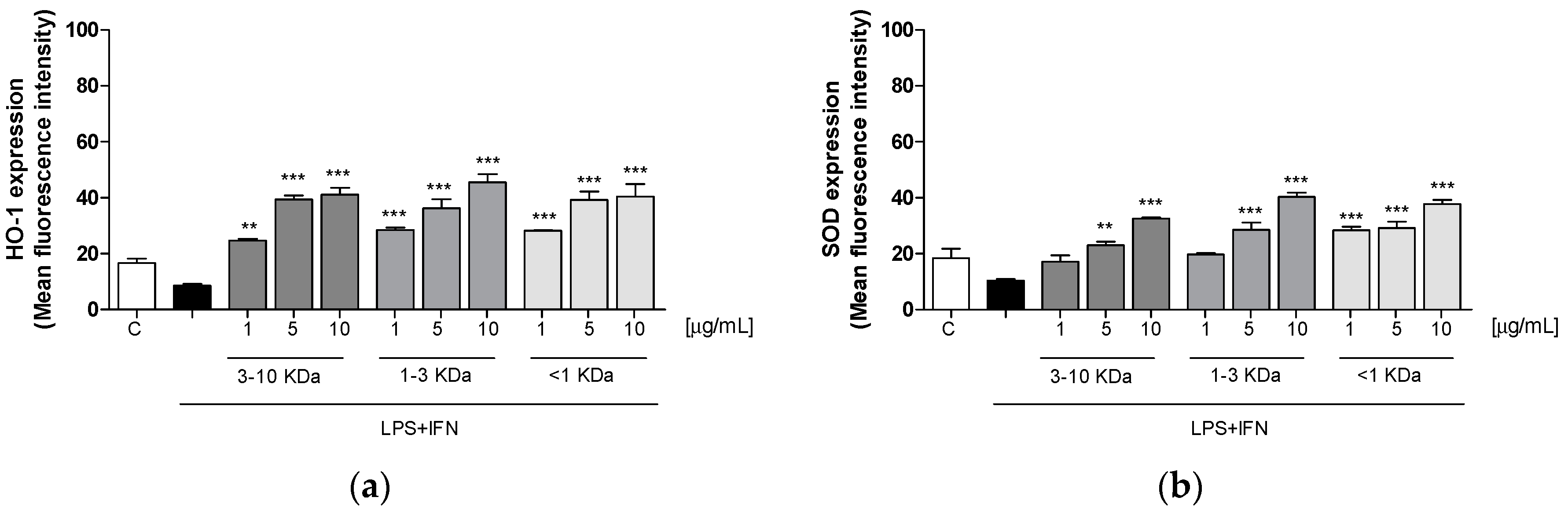 Ijms 20 06087 g005