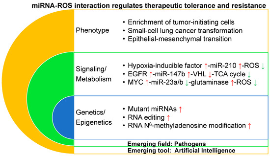Ijms Free Full Text Micrornas Tune Oxidative Stress In Cancer