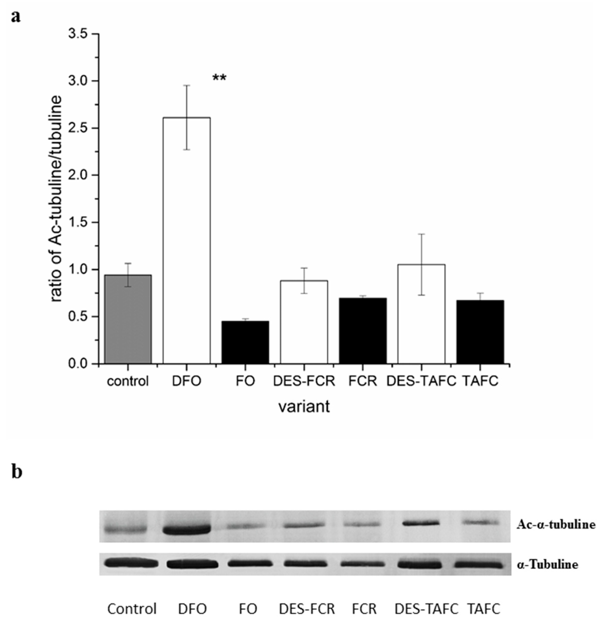 Ijms 20 06099 g004