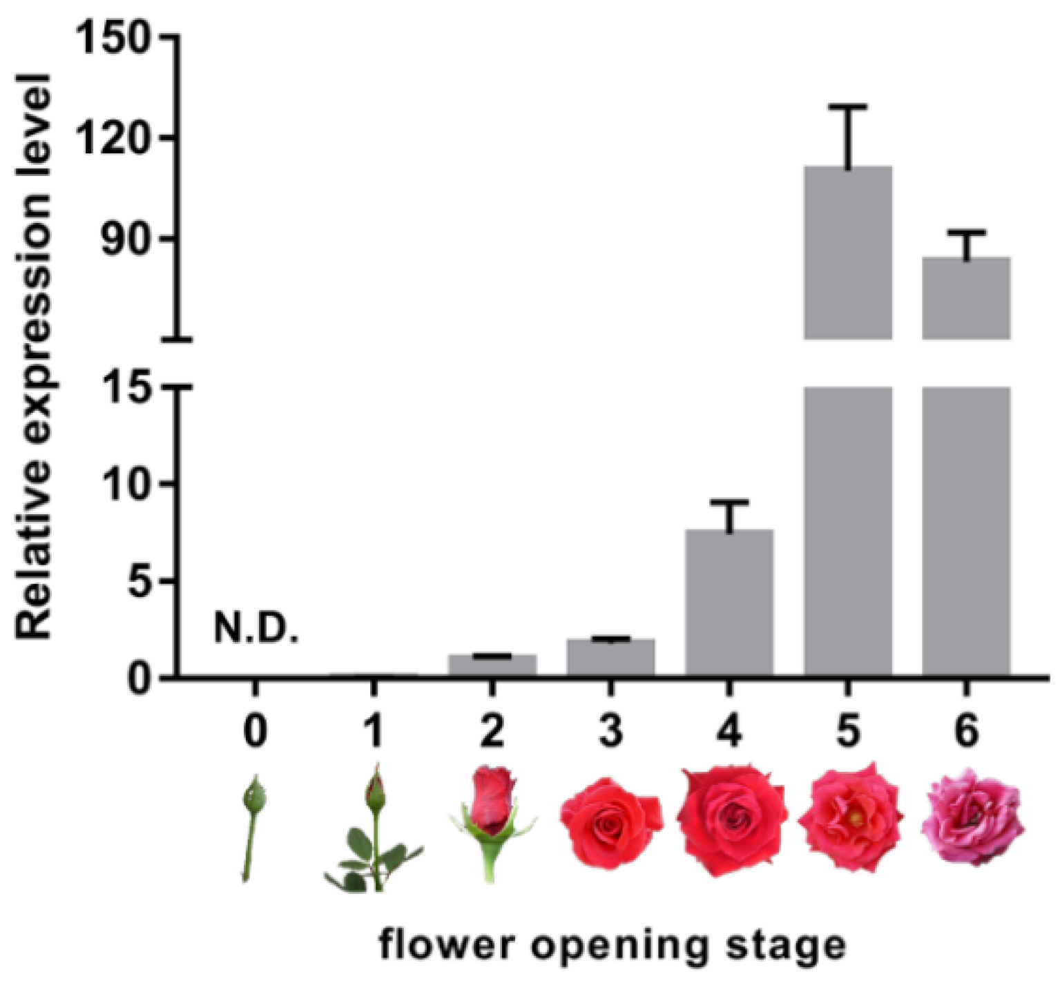 Frontiers | Elucidating the role of ubiquitination and