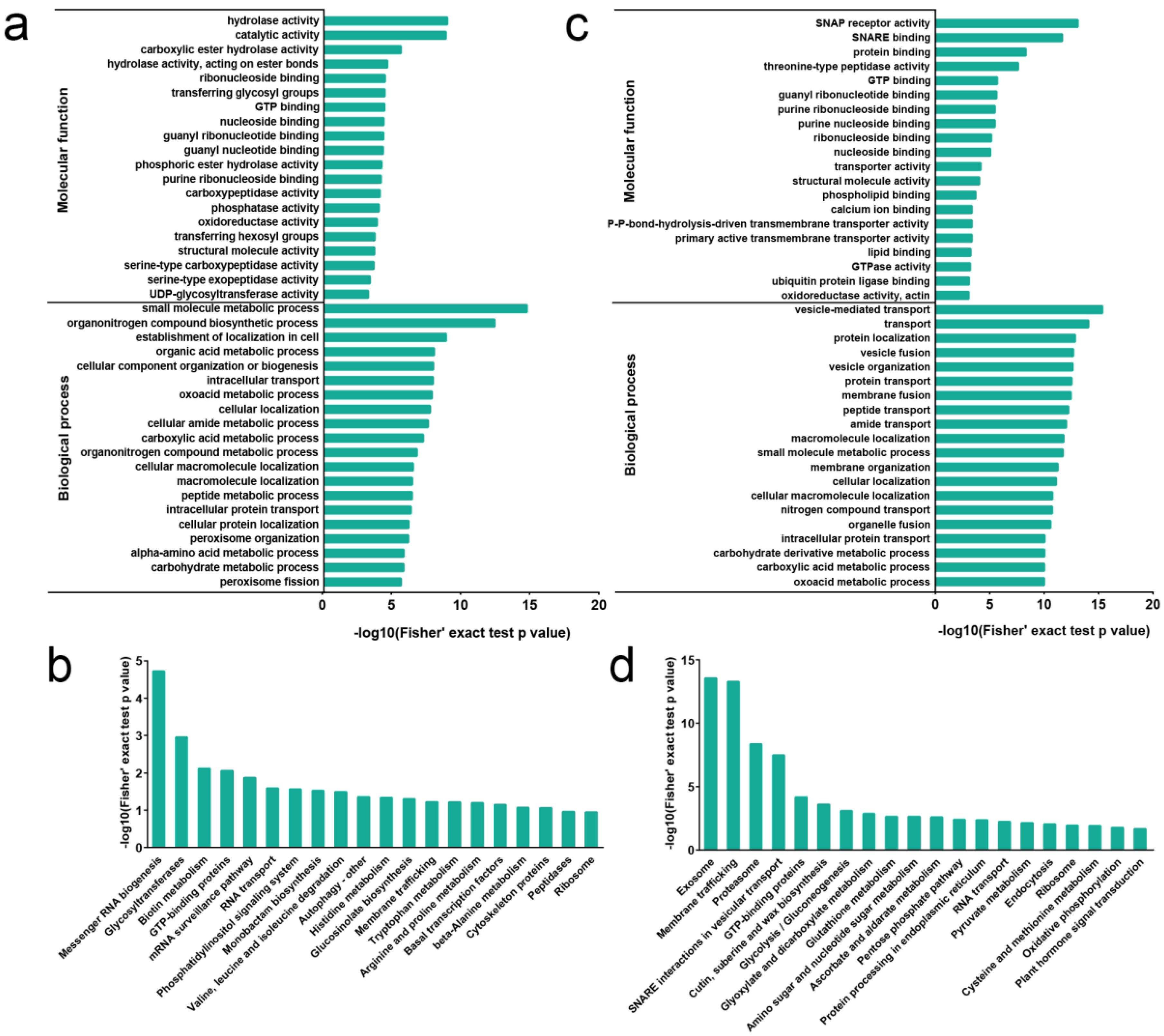 Ijms 20 06108 g002 Ijms 20 06108 g002