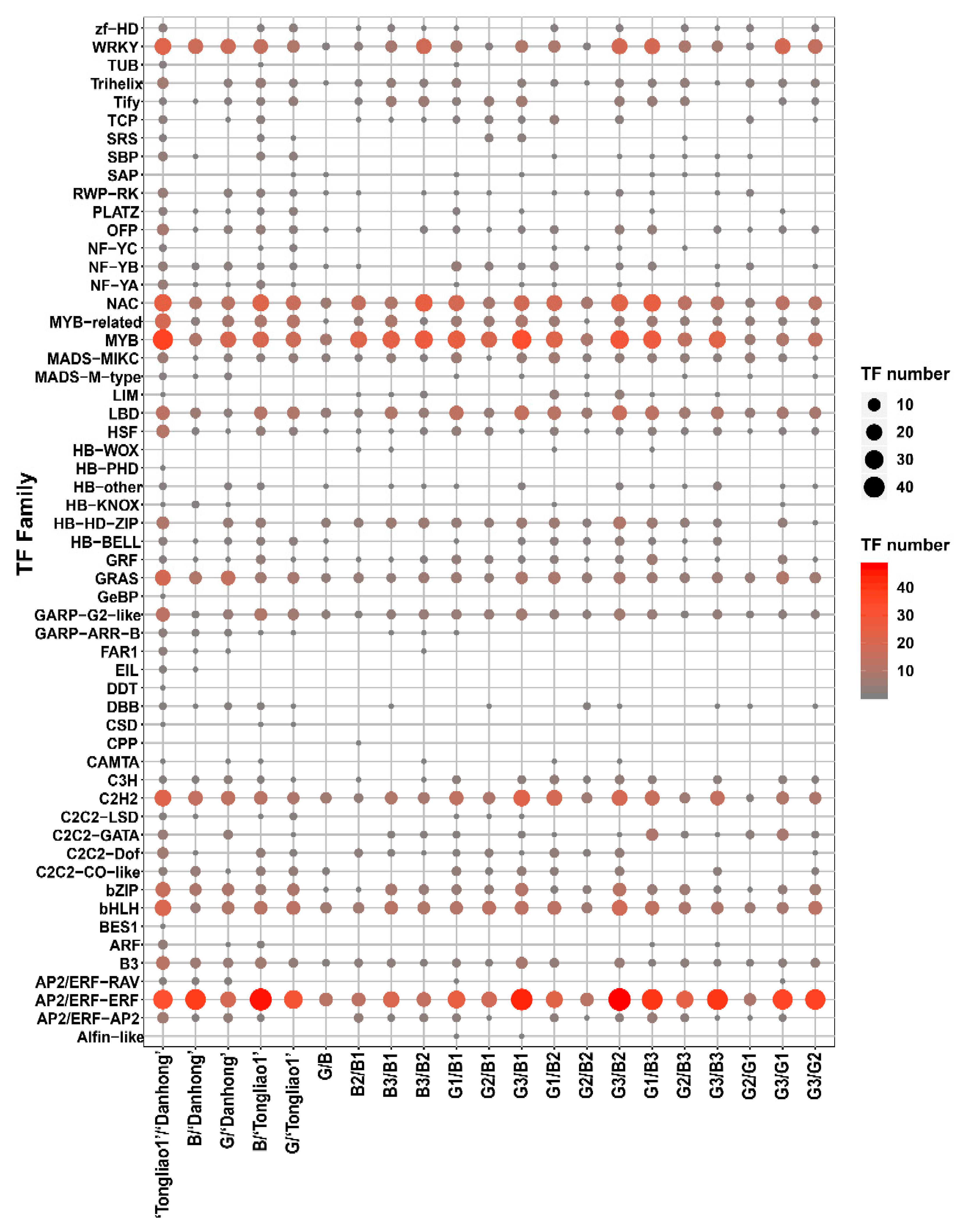 IJMS | Free Full-Text | Deciphering Genetic Architecture of
