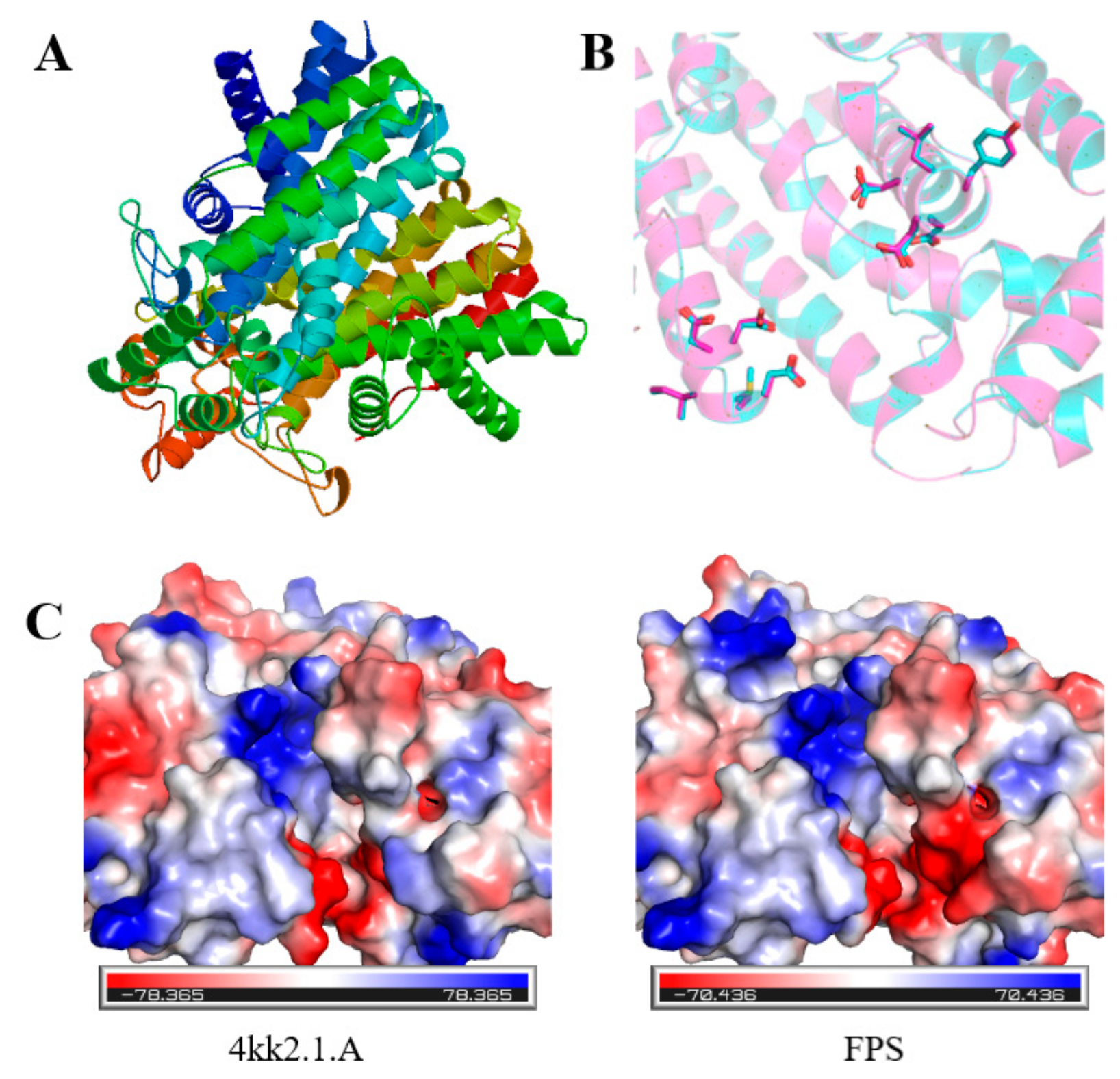 Ijms 20 06121 g003 Ijms 20 06121 g003