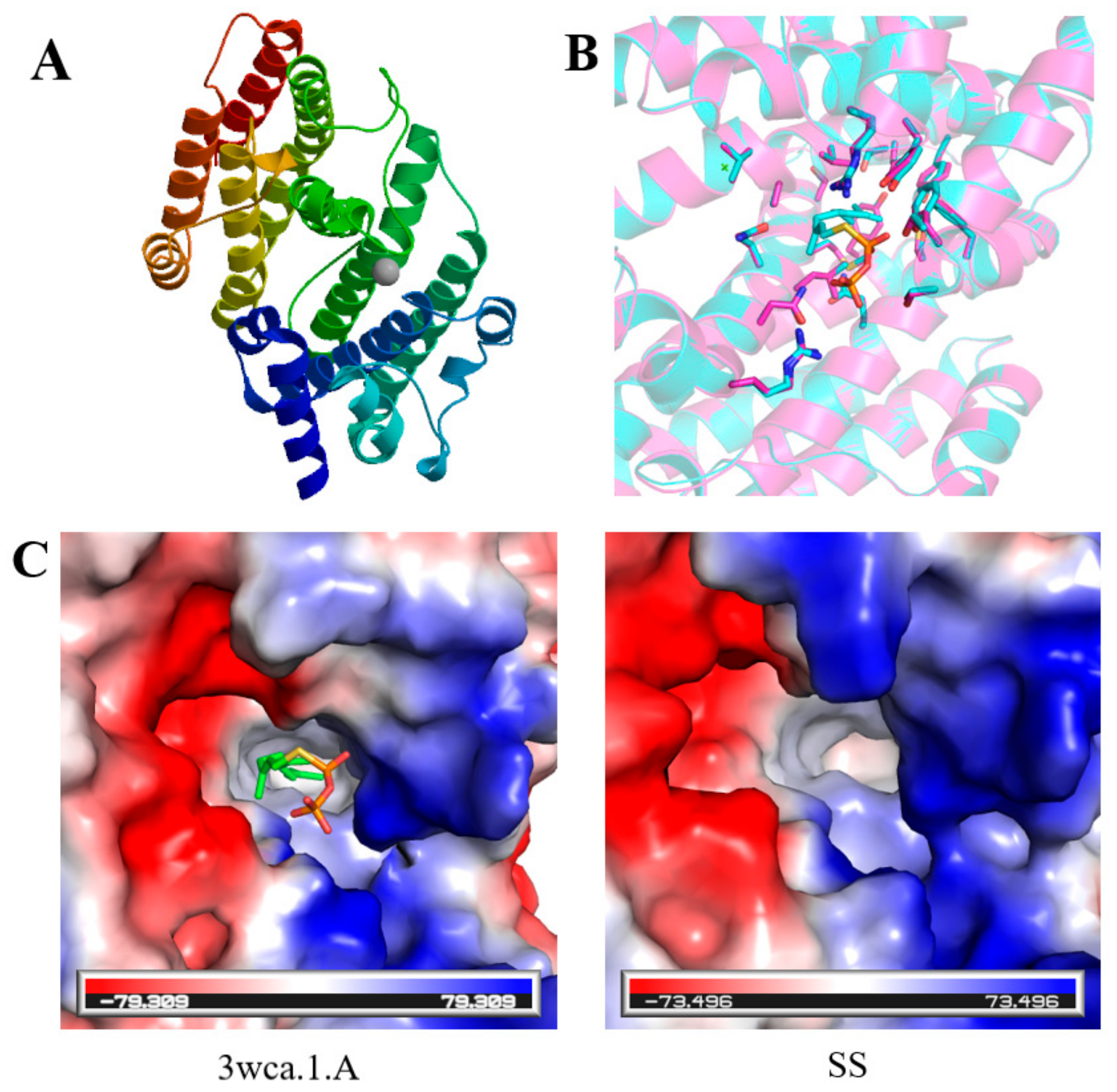 Ijms 20 06121 g004 Ijms 20 06121 g004