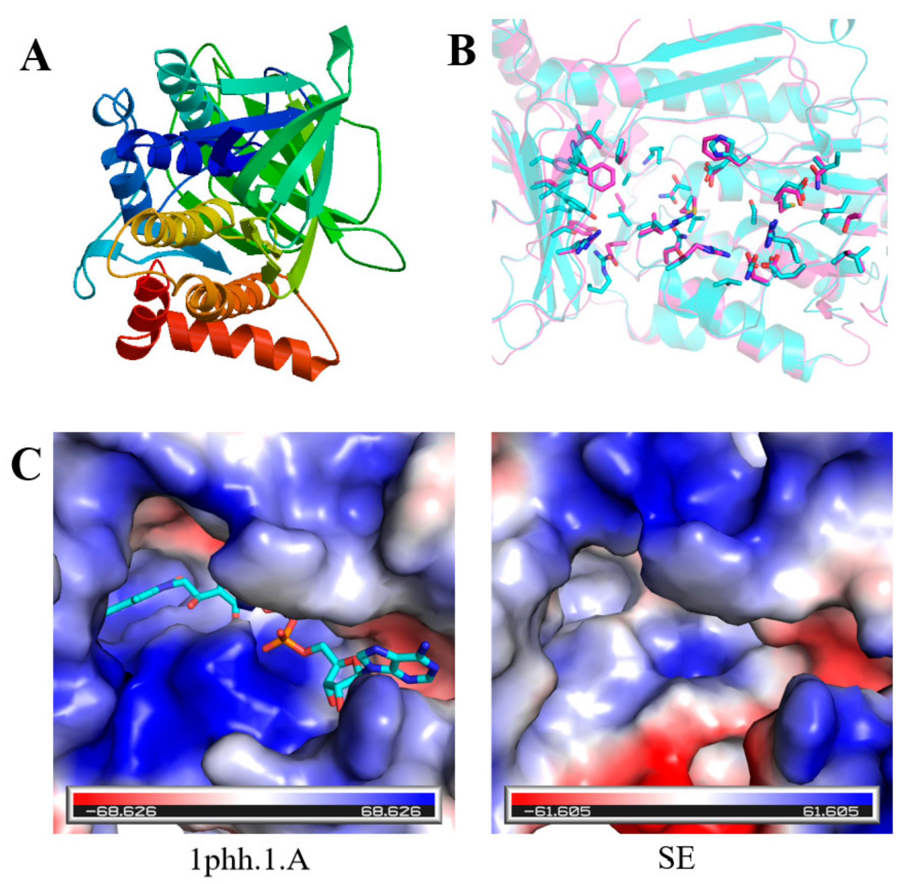 Ijms 20 06121 g005 Ijms 20 06121 g005