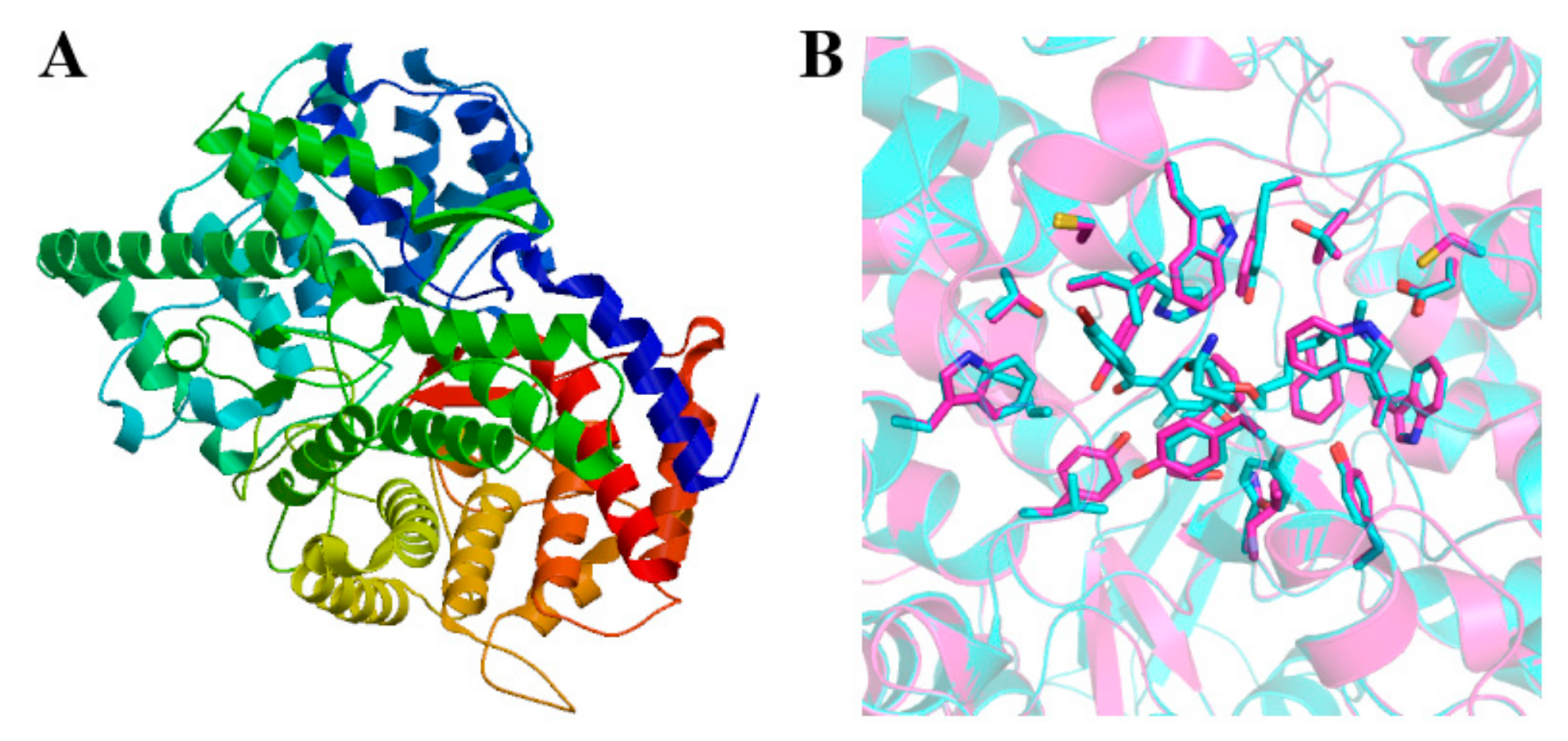 Ijms 20 06121 g006 Ijms 20 06121 g006
