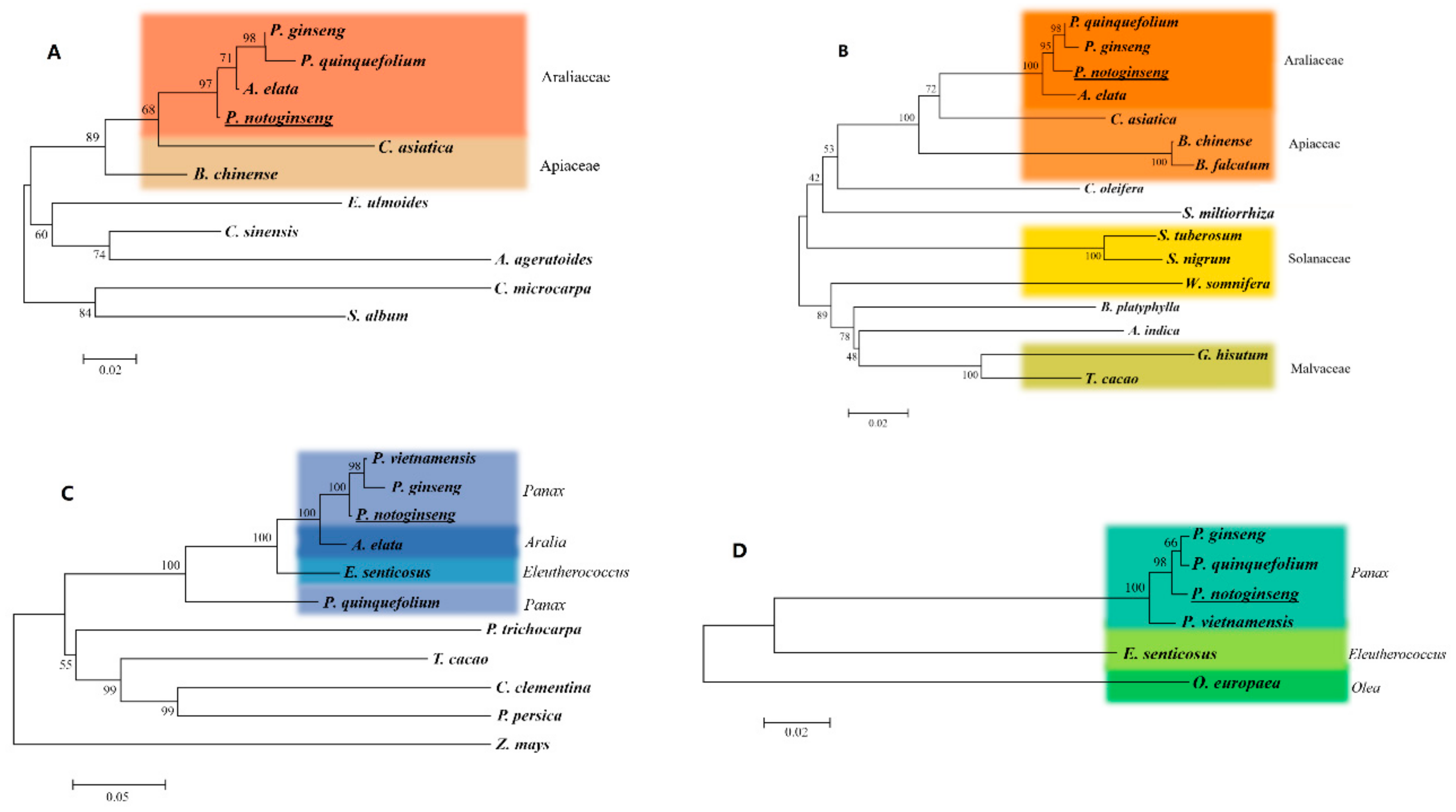 Ijms 20 06121 g007 Ijms 20 06121 g007