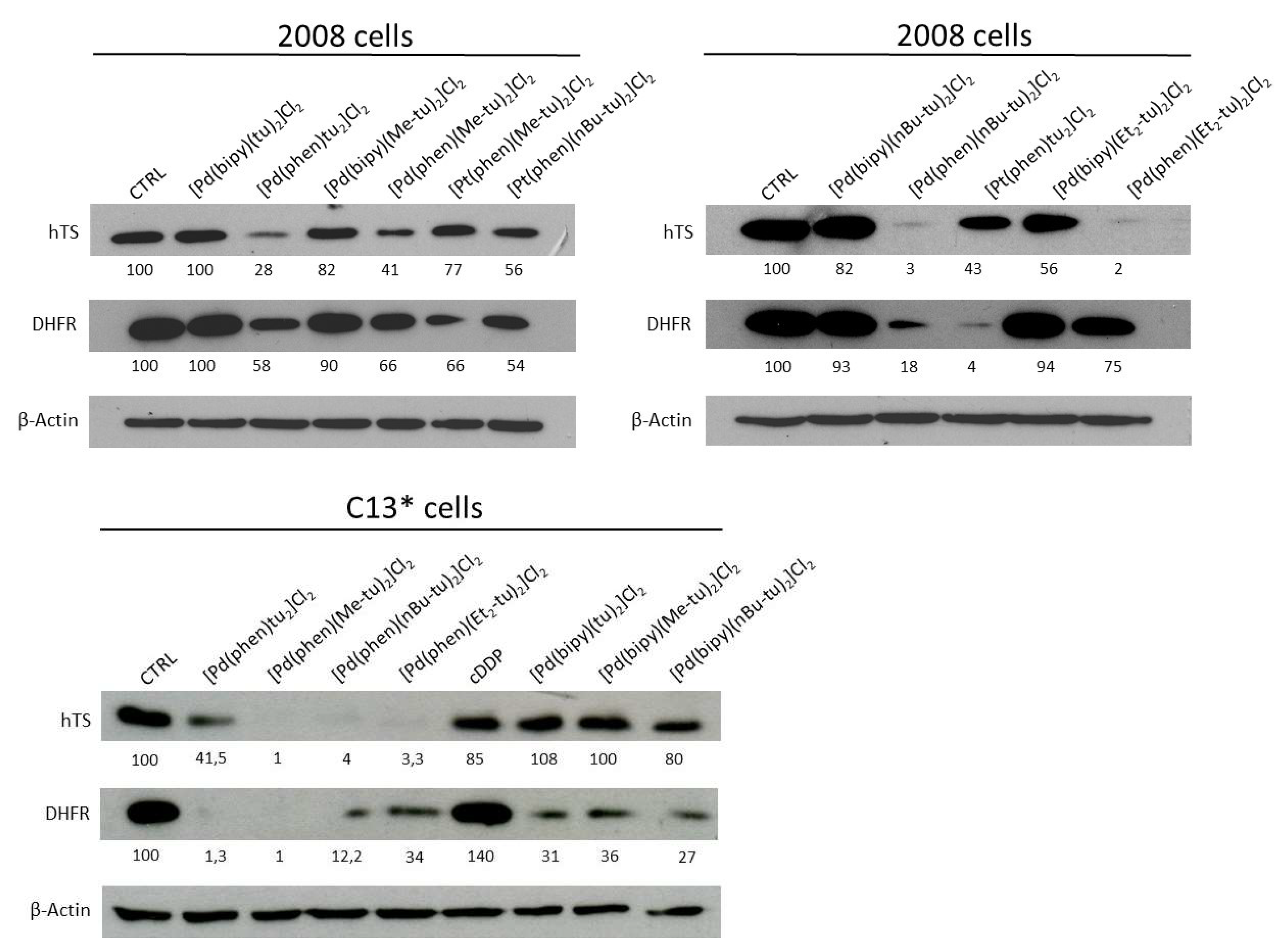 Ijms 20 06122 g006 Ijms 20 06122 g006