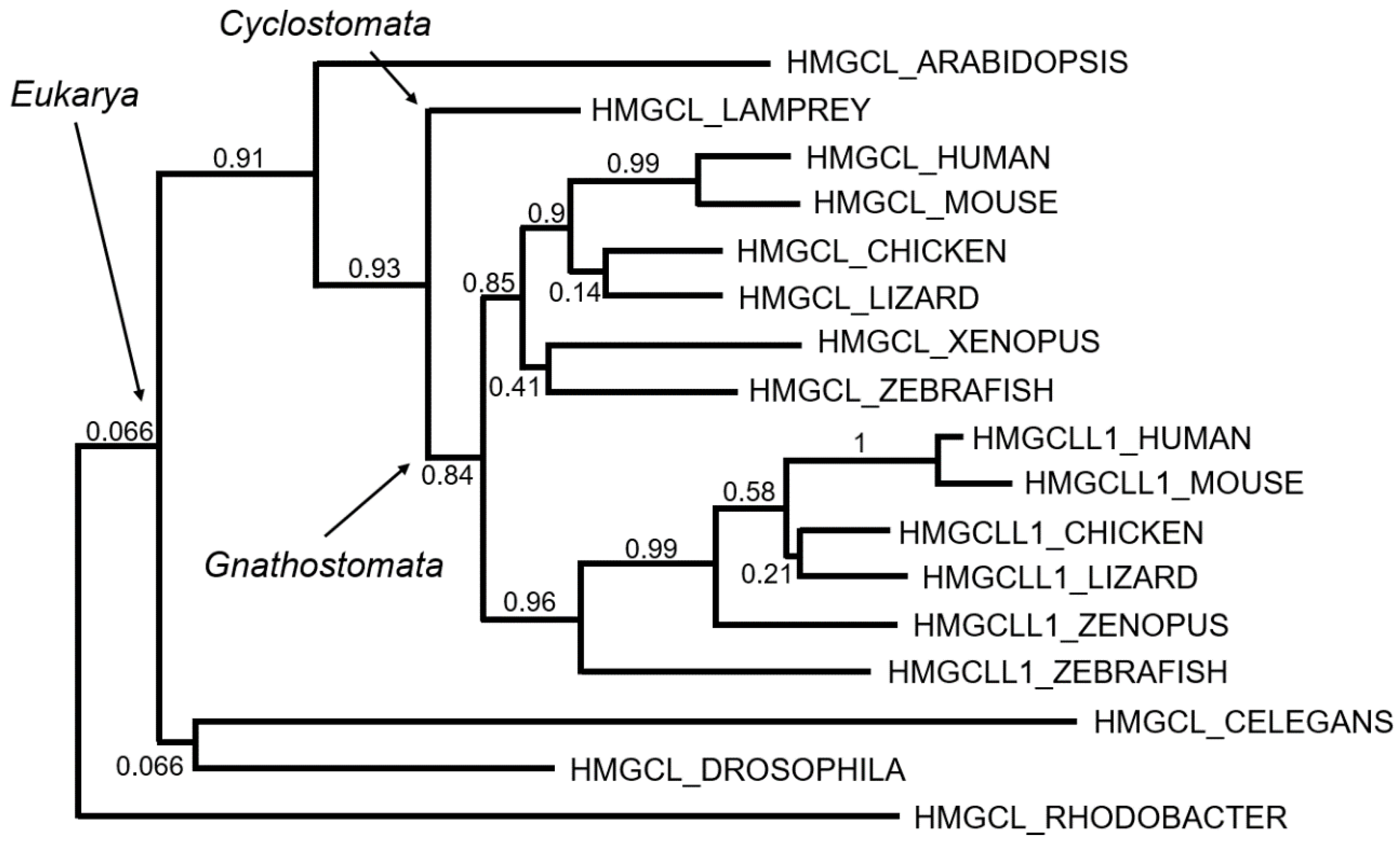 Ijms 20 06124 g003