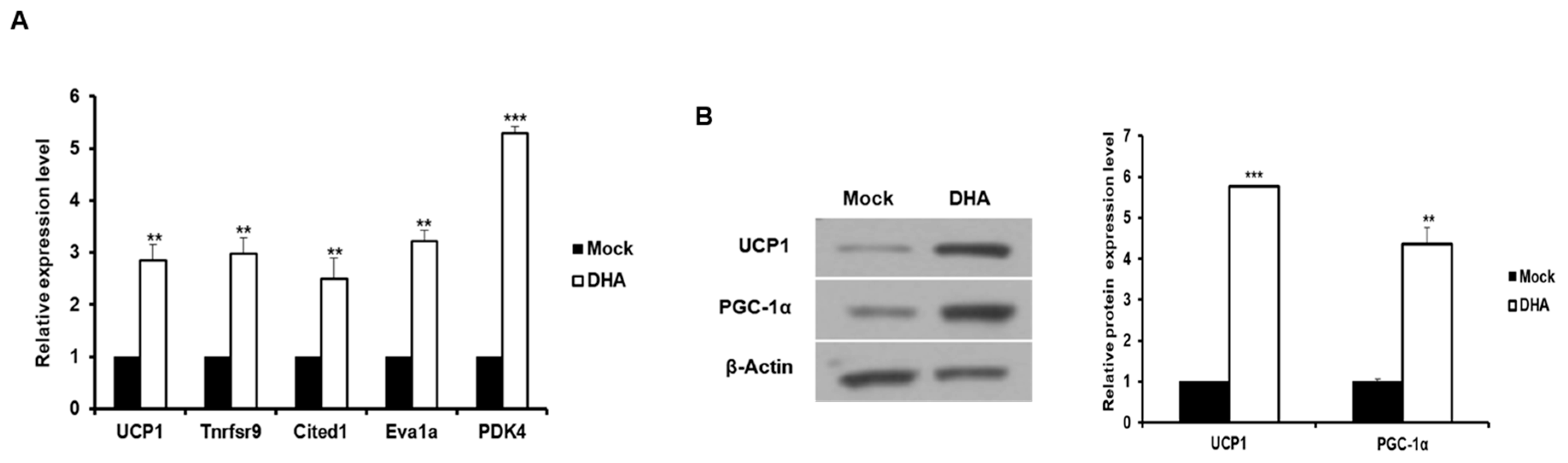 Ijms 20 06128 g001 Ijms 20 06128 g001