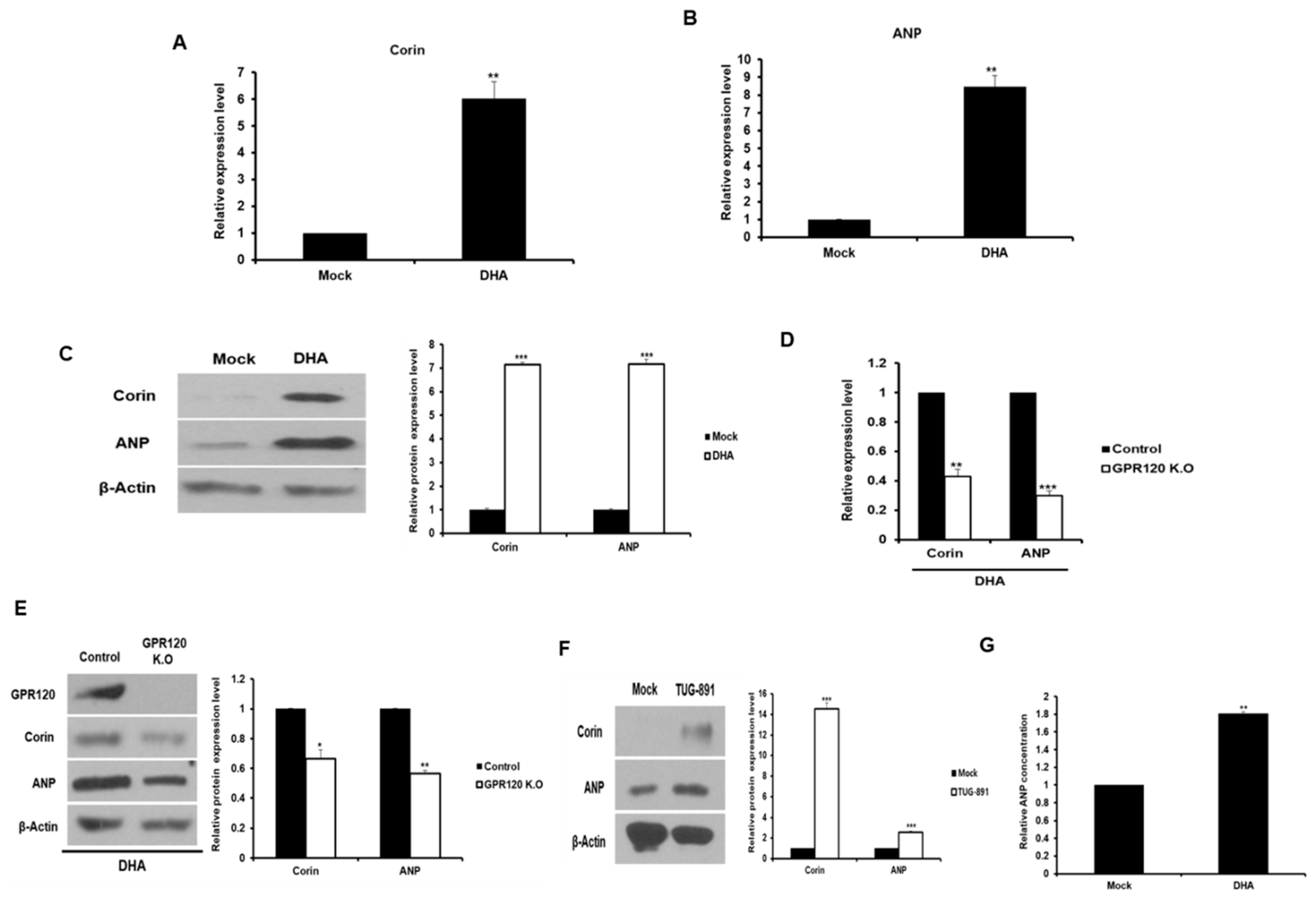 Ijms 20 06128 g002 Ijms 20 06128 g002