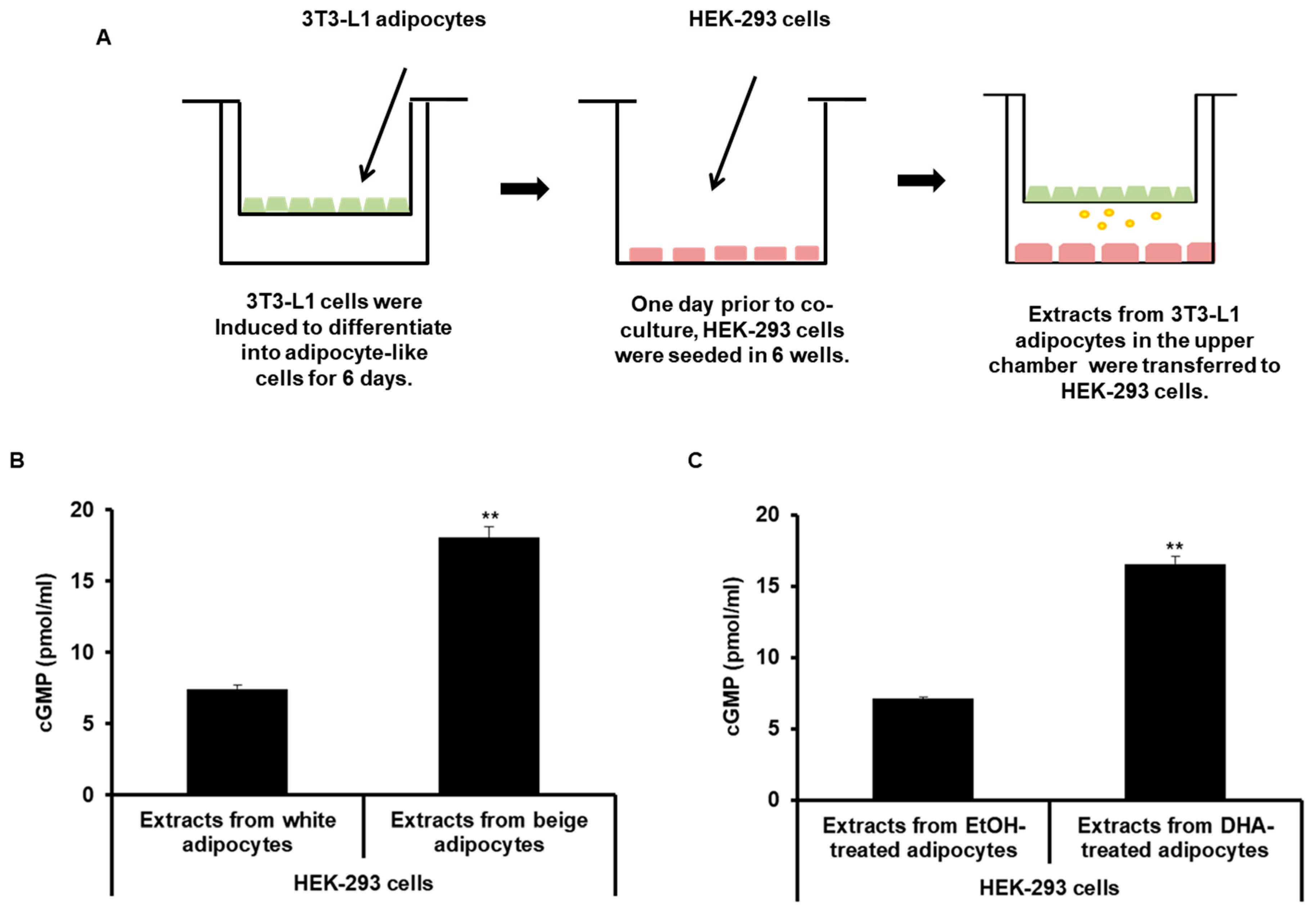 Ijms 20 06128 g006 Ijms 20 06128 g006