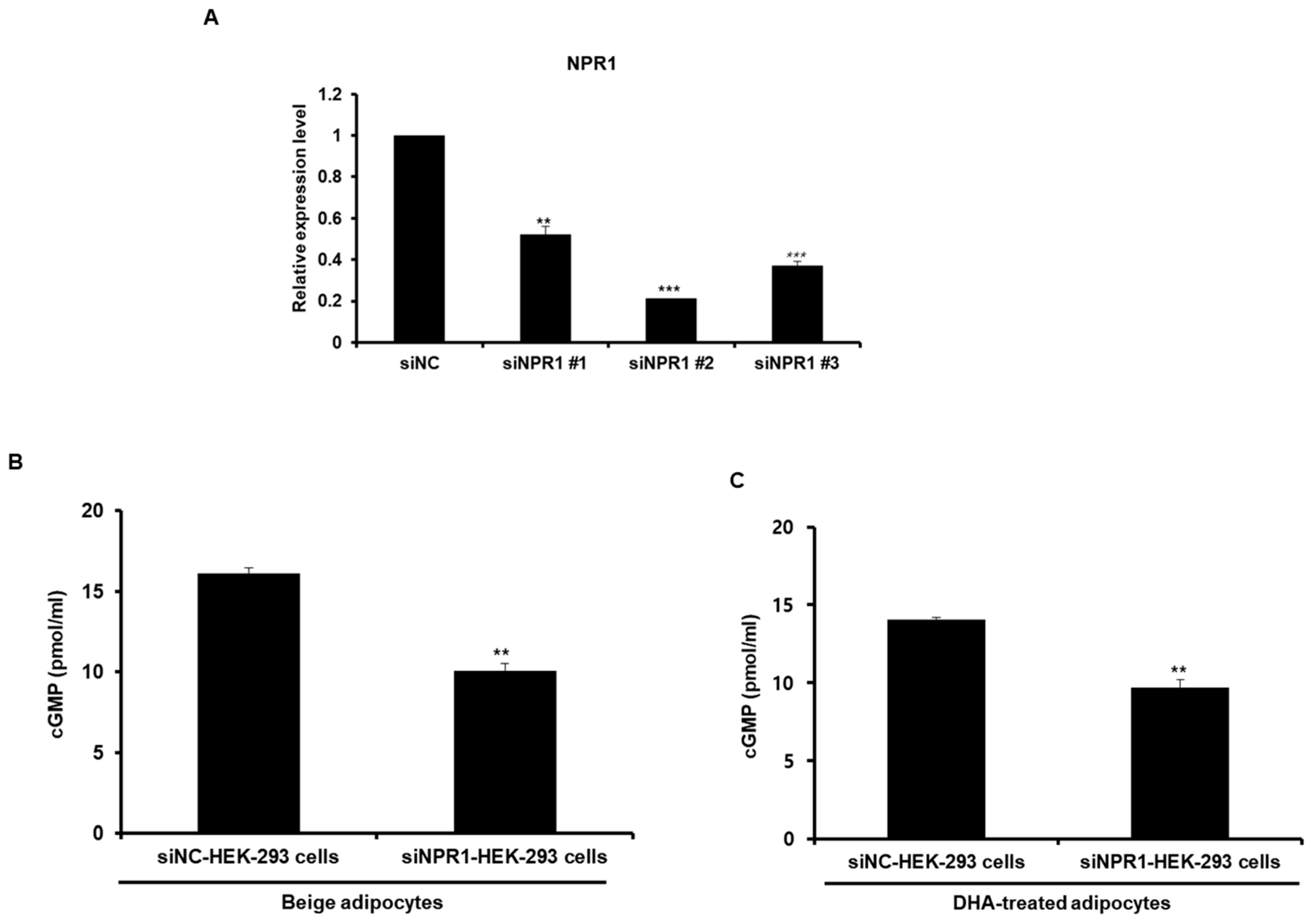 Ijms 20 06128 g007 Ijms 20 06128 g007