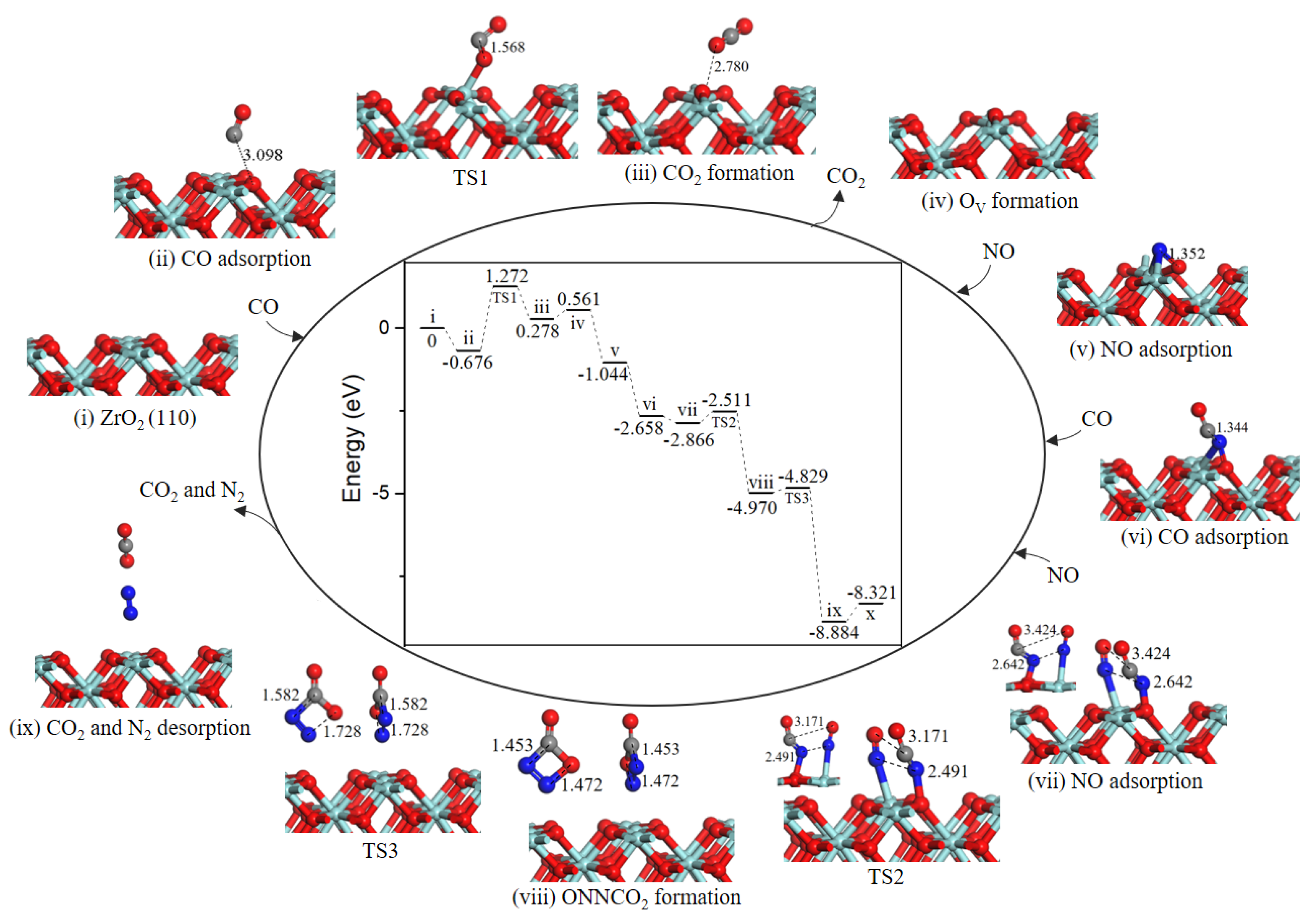 Ijms 20 06129 g003 Ijms 20 06129 g003