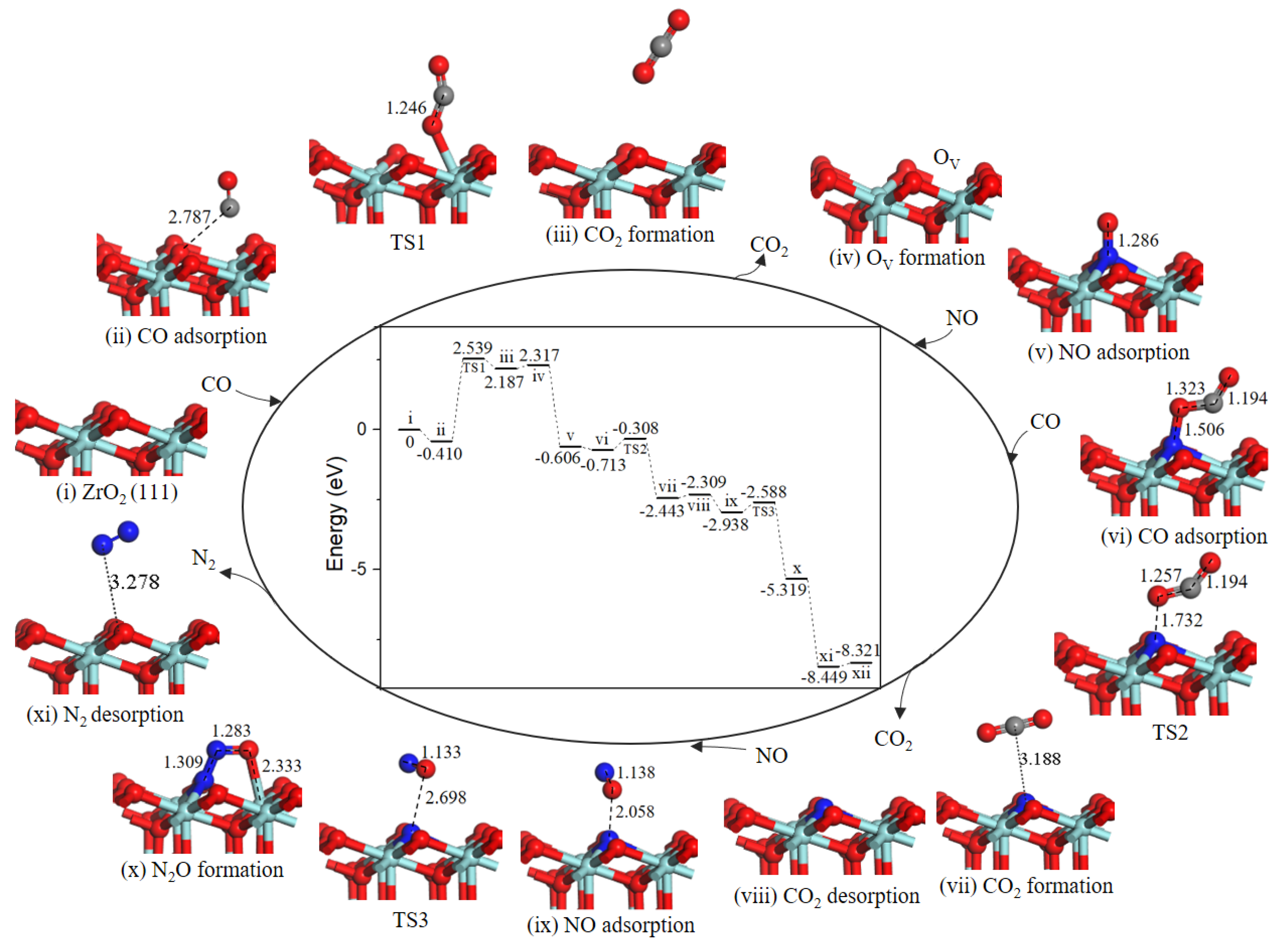 Ijms 20 06129 g006 Ijms 20 06129 g006