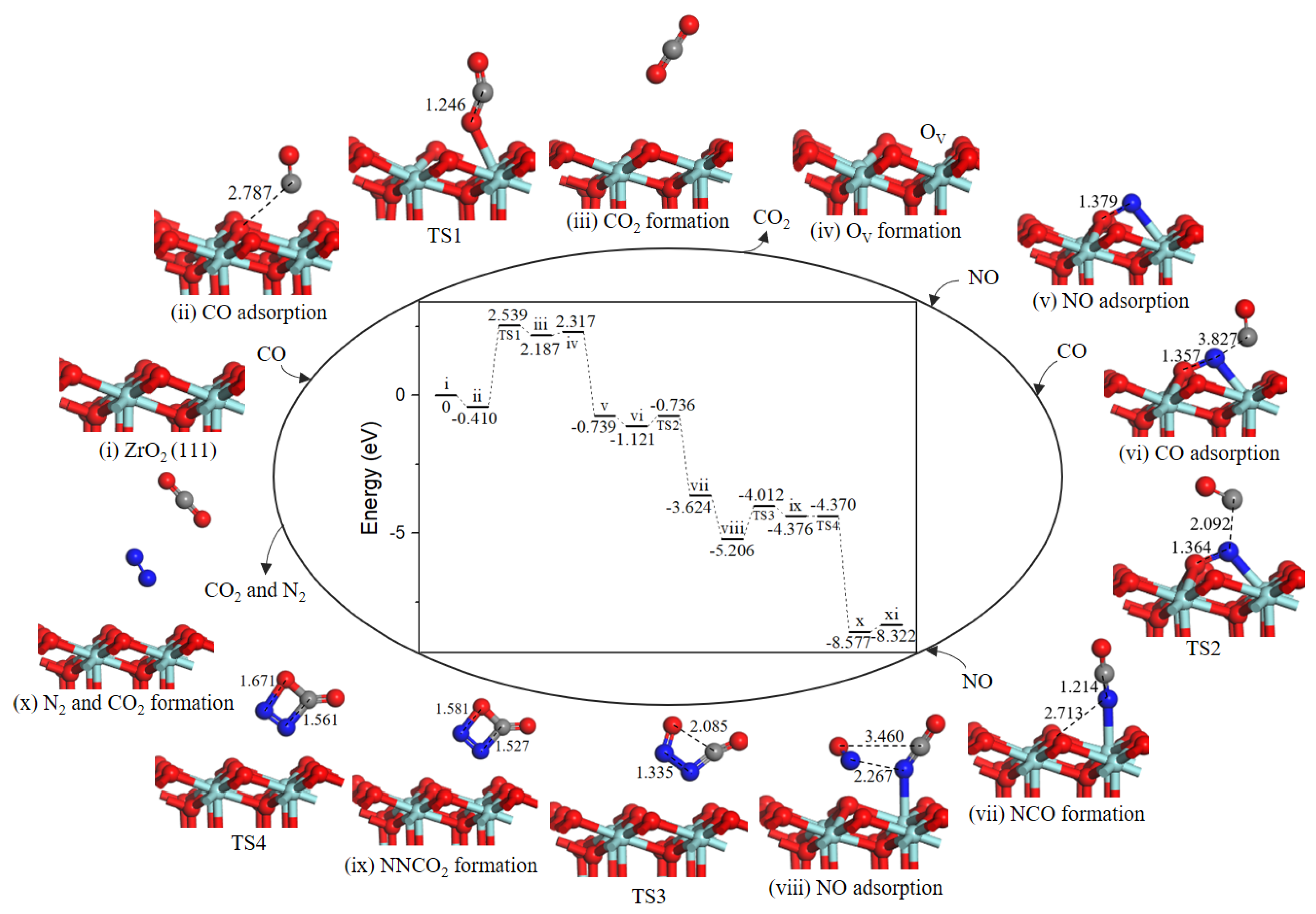 Ijms 20 06129 g007 Ijms 20 06129 g007
