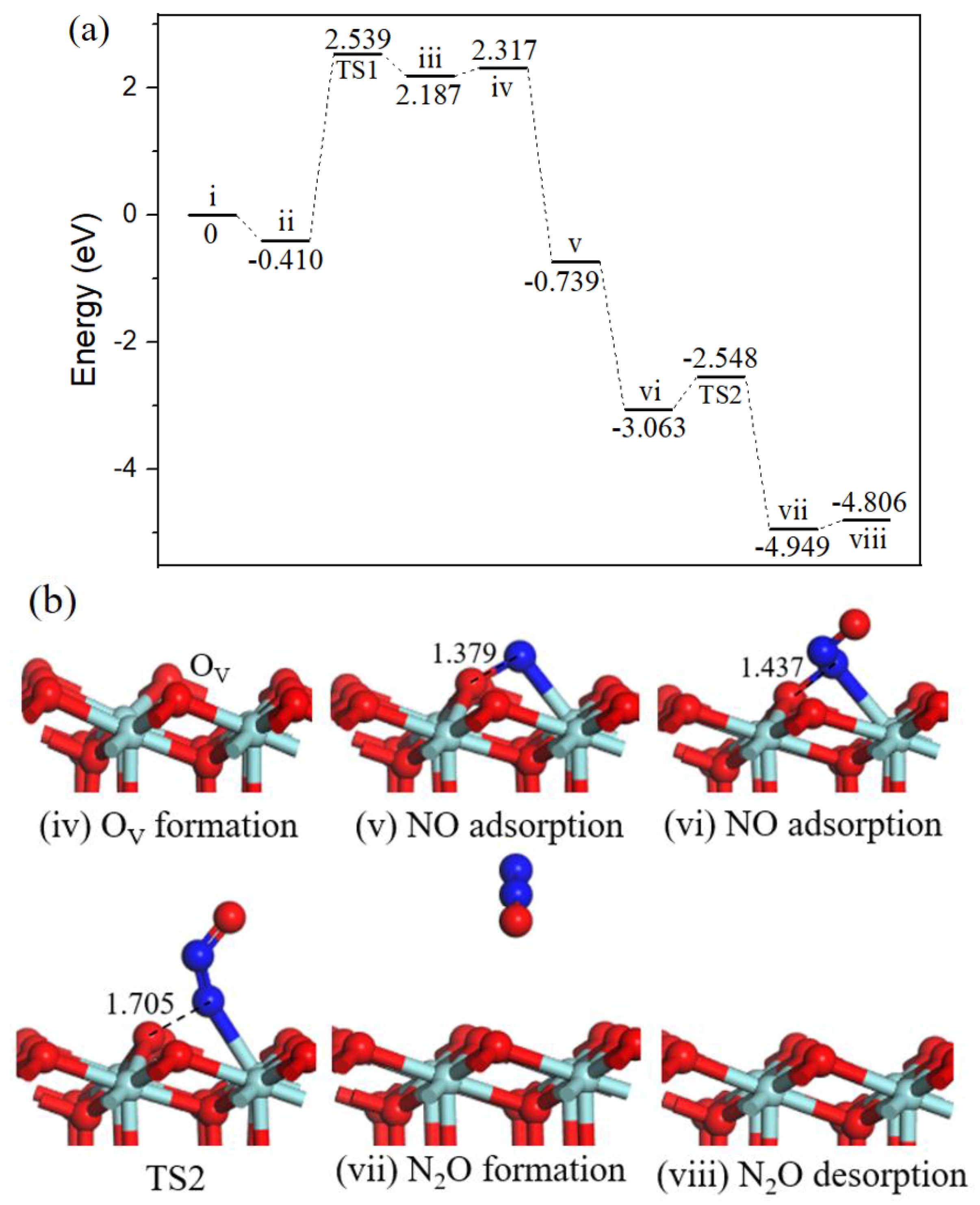 Ijms 20 06129 g008 Ijms 20 06129 g008
