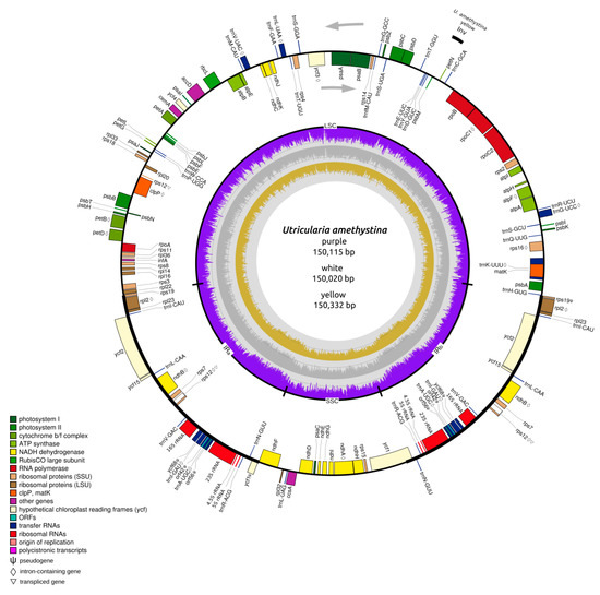 IJMS | Special Issue : Organelle Genetics in Plants