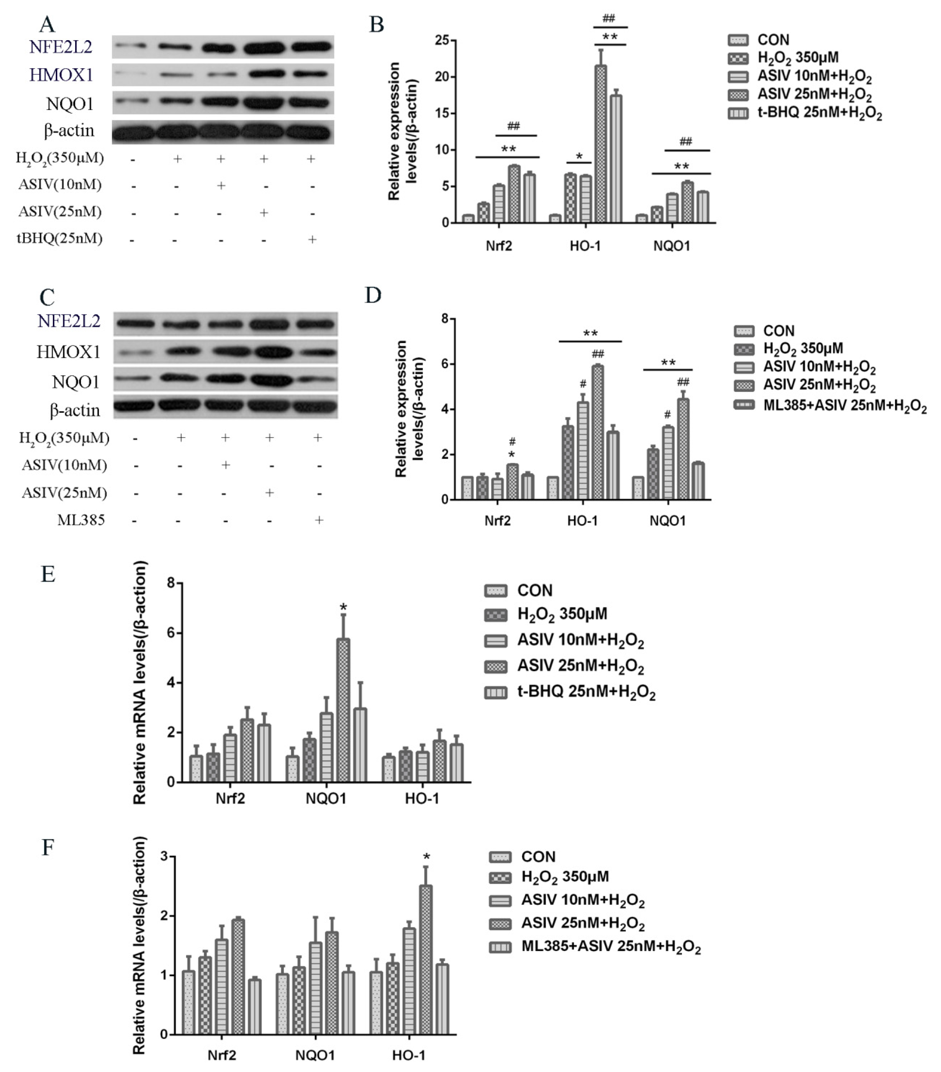 Ijms 20 06131 g006