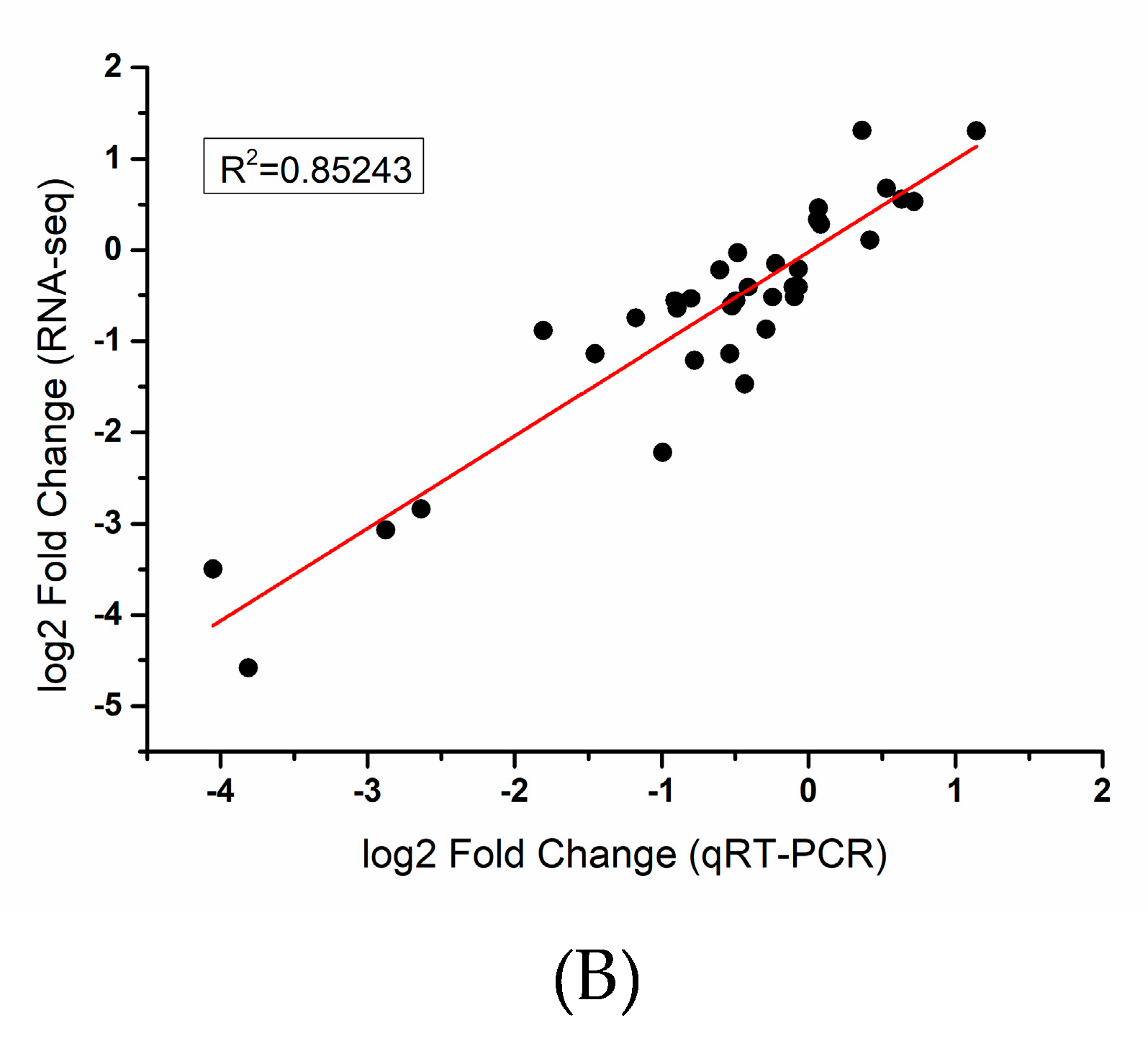 Ijms 20 06135 g002b Ijms 20 06135 g002b