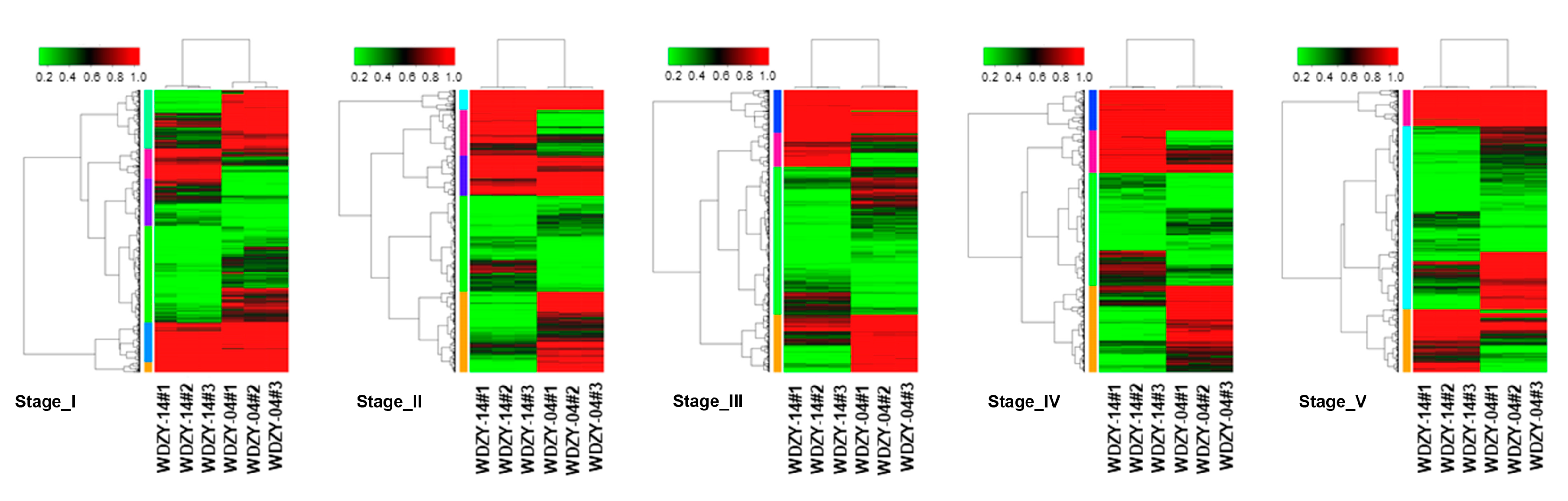 Ijms 20 06135 g004 Ijms 20 06135 g004