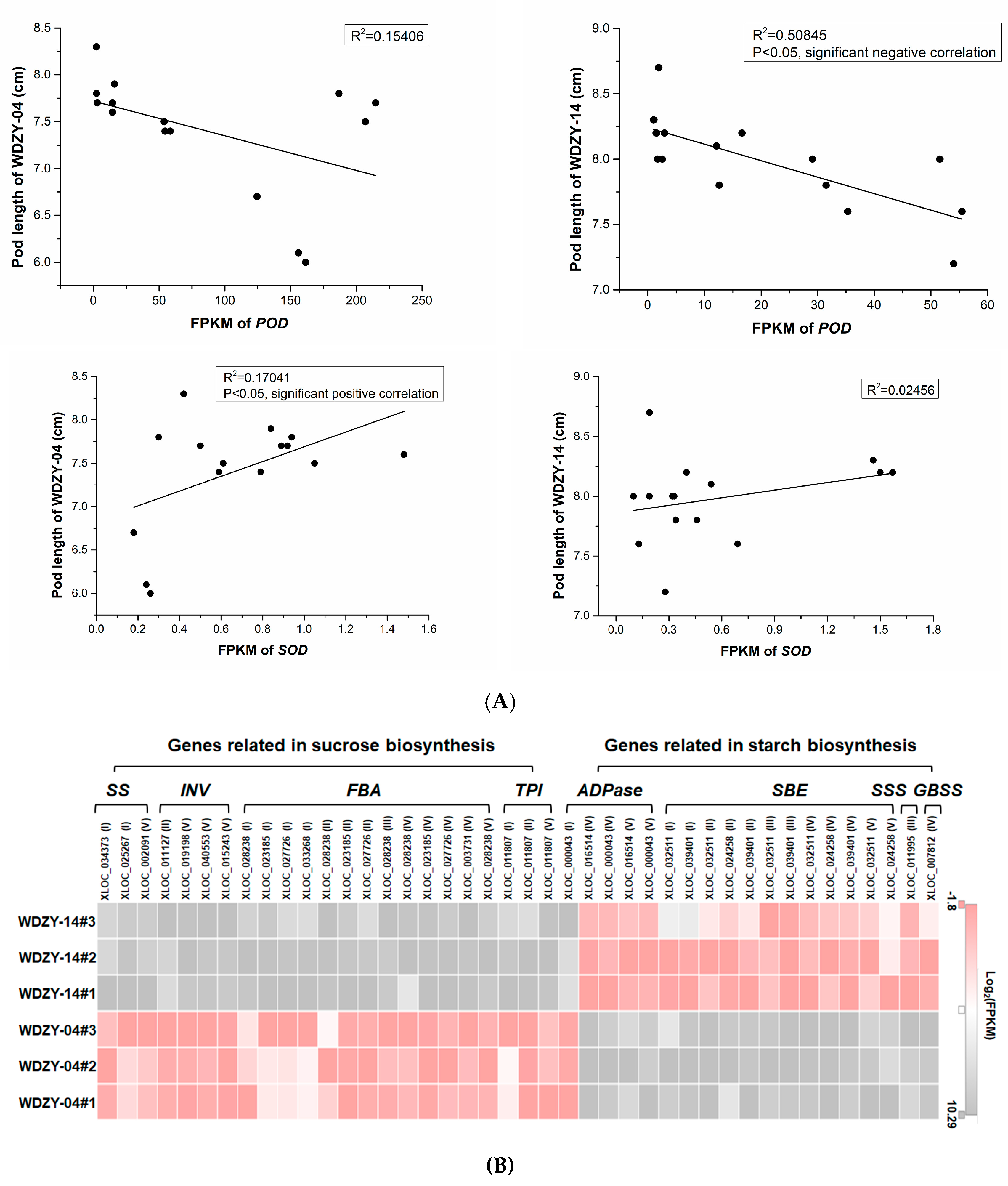 Ijms 20 06135 g005 Ijms 20 06135 g005