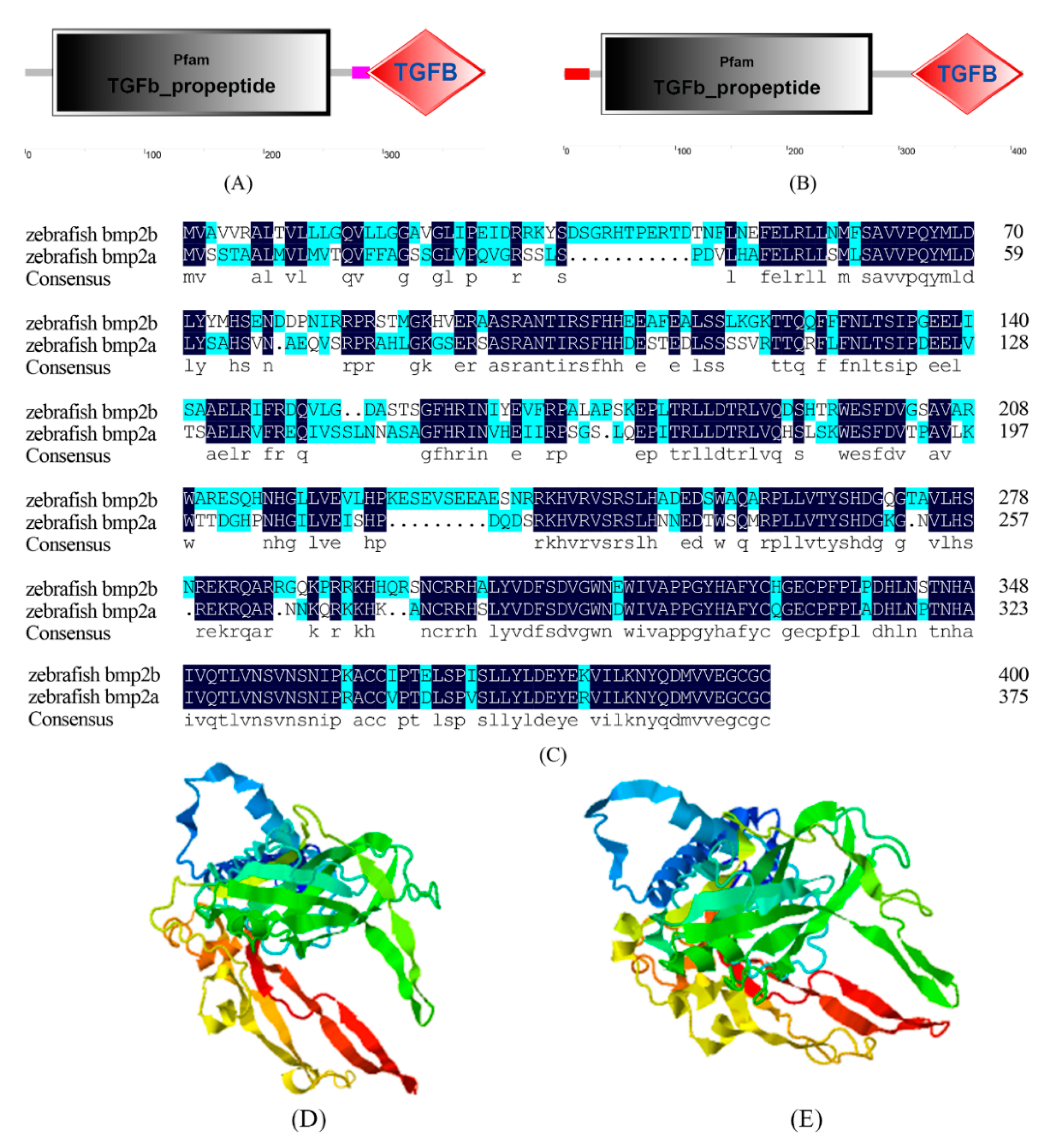 Ijms 20 06137 g003 Ijms 20 06137 g003