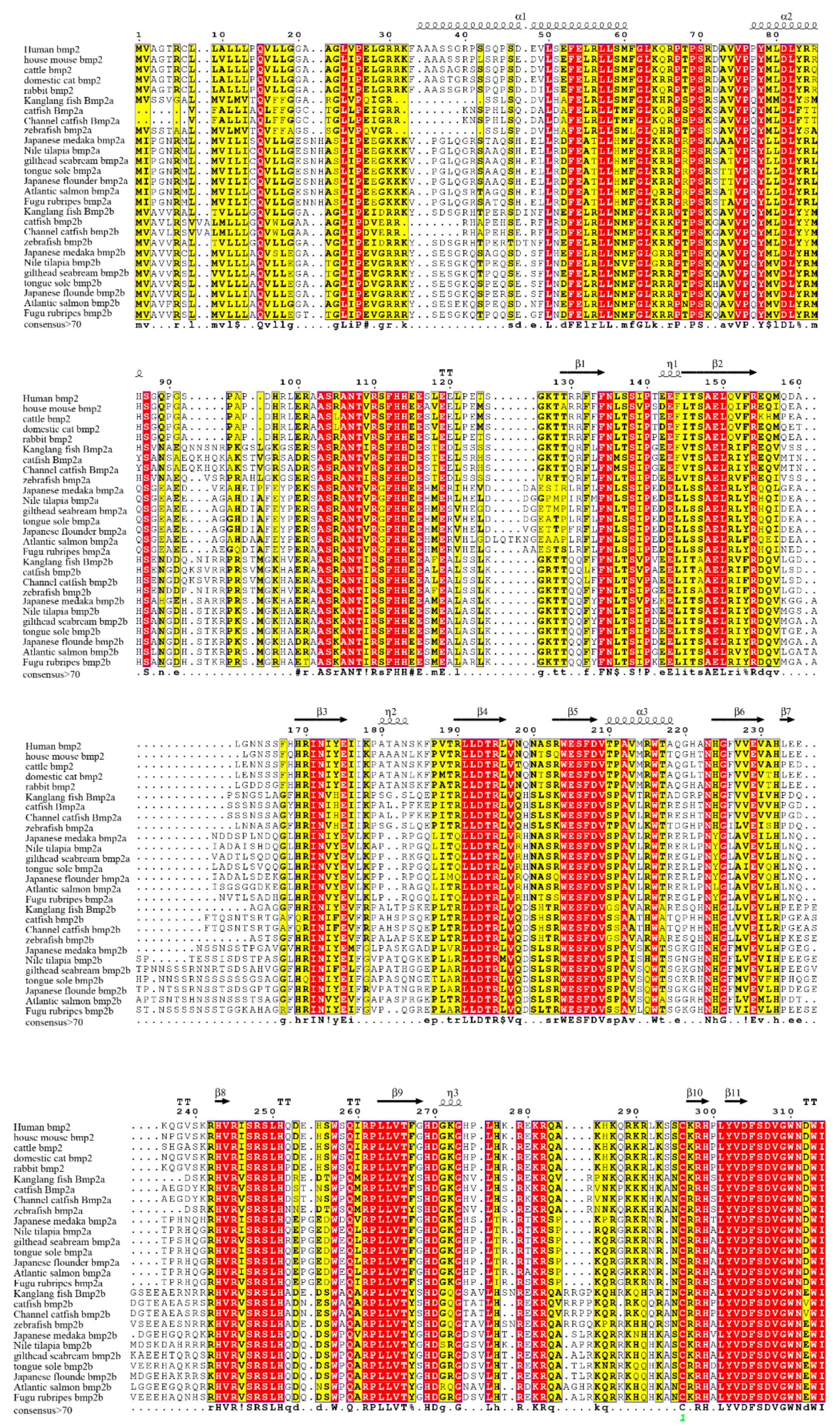 Ijms 20 06137 g005a Ijms 20 06137 g005a