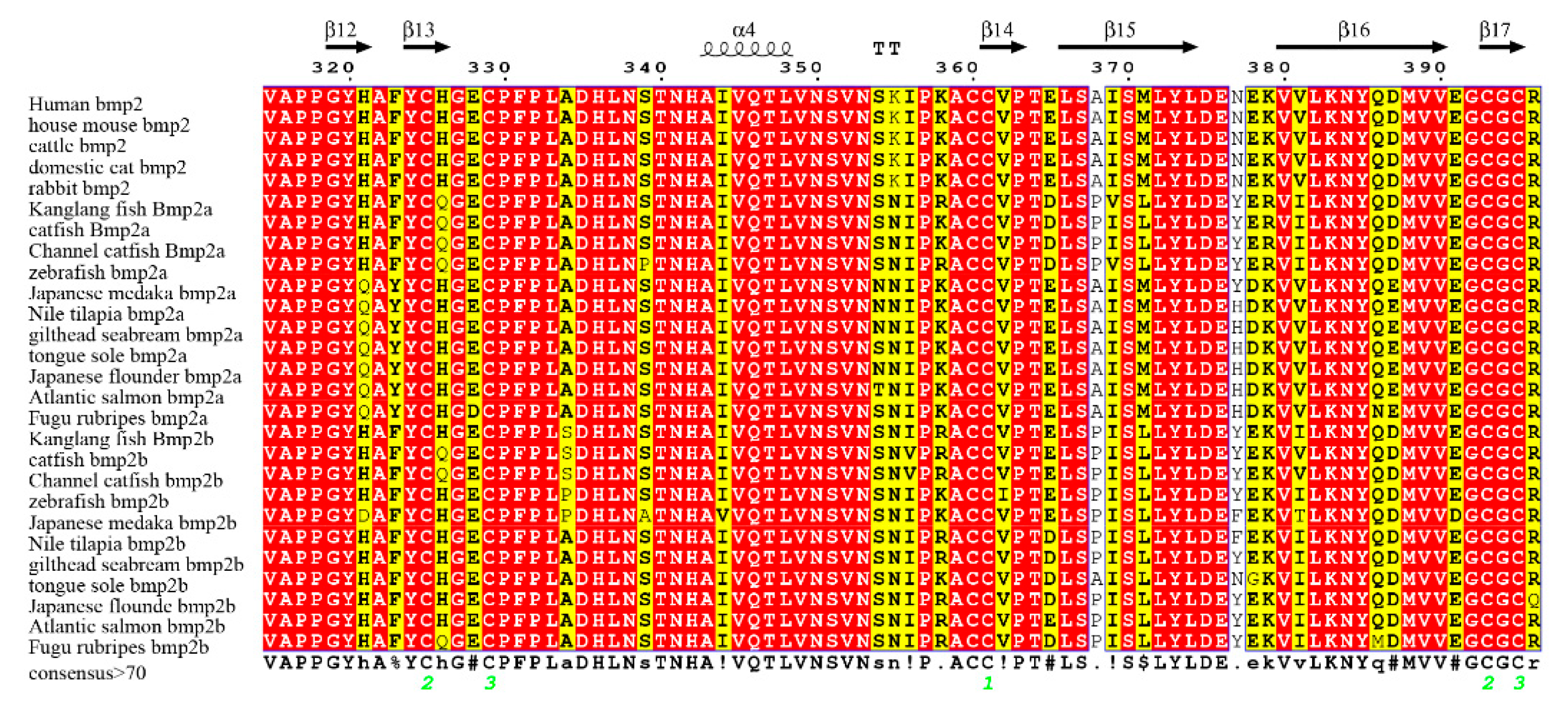 Ijms 20 06137 g005b Ijms 20 06137 g005b