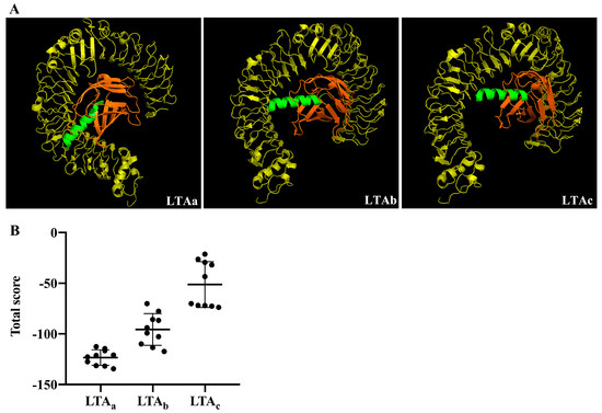 Development of a Highly Efficient Hybrid Peptide That